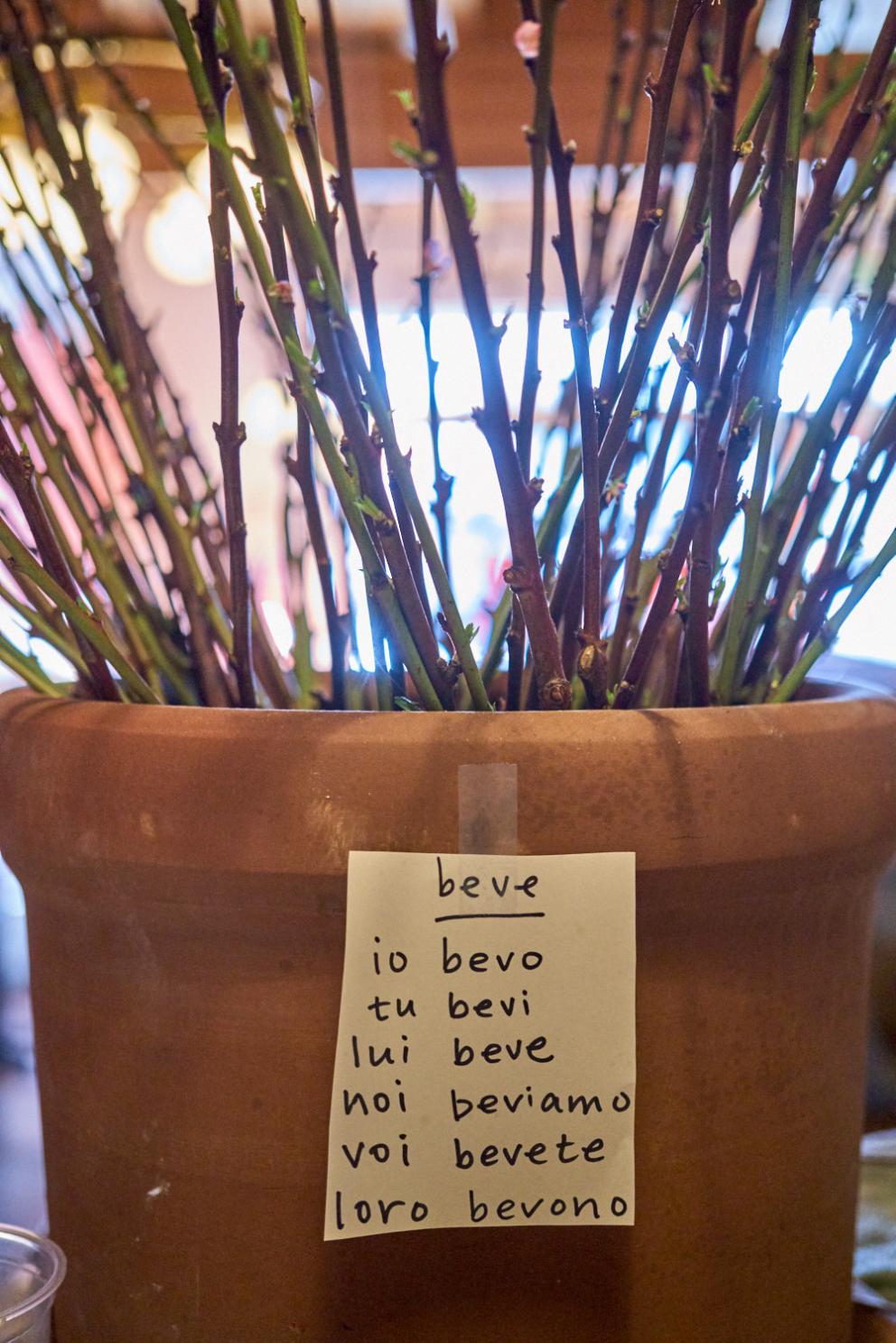 Galleria fotograficaVerso la notte in North Albina Avenue a PortlandIl portico del B&B scelto a Portland
L'ingresso del B&B
Sarah Minnick e Paolo Marchi del salone della villa occupata a Portland
Fresh Pot, il caff&egrave; del mattino nel Mississippi District in Portland
L'altra America, quella che non si chiude in se stessaFranco Pepe e il suo prezioso collaboratore Salvatore Vigliotta nella foto di Luciano Furia
In viaggio verso l'Ayers Creek Farm a Gaston
Il campo difficile da coltivare all'Ayers Creek Farm a Gaston. Per i messicani che vi lavorano, non vi &egrave; nulla da fare: &egrave; un terreno freddo. Di anima
Camminare la campagna nell'Oregon. Da sinistra verso destra si riconoscono Carol e Anthony Boutard, Sarah Minnick, Paolo Marchi, Salvatore Vigliotta e Franco Pepe. Foto di Luciano Furia
Topolino
Sarah Minnick
Anthony Boutard nei suoi campi
Franco Pepe e Sarah Minnick
Internet ha messo in crisi le famose cassette per le lettere americane
Carol Boutard, Sarah Minnick, Paolo Marchi e, ultimo a destra, Anthony Boutard
Sotto una tettoia della Ayers Creek Farm, a Gaston In Oregon, il padrone di casa, Anthony Boutard, ha sistemato due incredibili modelli Citro&euml;n che per davvero hanno fatto la storia dell'automobile: una DS famigliare (a sinistra) e, addirittura, una Traction Avant
Carol Boutard sfoglia il manuale da loro curato sul mais
Le pannocchie di granoturco nero che Anthony Boutard sta selezionado nella sua fattoria partendo da un tipo di mais blu misto a chicchi neri
Una confezione di mais nero e blu. Per arrivare a una produzione 100% nera, dopo ogni raccolto i responsabili dell&rsquo;Ayers Farm Creek commercializzano entrambi i tipi di granoturco mischiati tra loro, ma seminano solo il genere nero
Anthony Boutard, Sarah Minnick e Carol Boutard nella foto di Luciano Furia
Anthony Boutard presenta il men&ugrave; e la Minnick ride contenta
La foto, di Paolo Marchi, &egrave; mossa e andrebbe scartata ma &egrave; la sola che fissa, prima di essere servito agli ospiti, un eccellente piatto a pranzo a casa Boutard: Mais Amish Butter con ostriche, rockfish e granchi
Torta di granoturco nero Peace, No War con salsa di lamponi e crema inglese
Un ritratto particolarmente riuscito di Luciano Furia a Sarah Minnick
Paolo Marchi, Franco Pepe e Salvatore Vigliotta nella foto di Luciano Furia
Lo schizzo fatto da Franco Pepe su un tovagliolino di carta per spiegare alla Minnick come disporre al meglio i pezzi di legna nel forno per la pizza. L&rsquo;alare serve per dare aria alle braci e rendere pi&ugrave; omogeneo il calore
Paolo Marchi prende appunti mentre Sarah Minnick spiega una delle sue pizze
Il post di Sarah Minnick nella sua pagina di Instagram nel quale presenta una delle pizze che preparer&agrave; luned&igrave; 6 marzo a Milano: Spinaci con pomodori sbriciolati, capperi, peperoni e carote fermentati, aglio e formaggio feta
