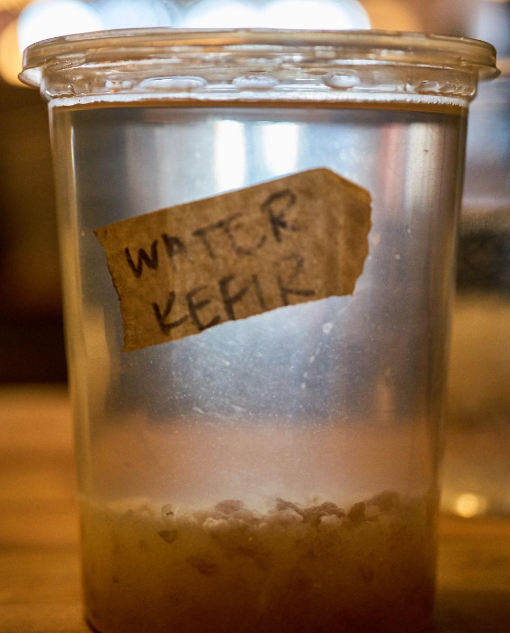 Galleria fotograficaVerso la notte in North Albina Avenue a PortlandIl portico del B&B scelto a Portland
L'ingresso del B&B
Sarah Minnick e Paolo Marchi del salone della villa occupata a Portland
Fresh Pot, il caff&egrave; del mattino nel Mississippi District in Portland
L'altra America, quella che non si chiude in se stessaFranco Pepe e il suo prezioso collaboratore Salvatore Vigliotta nella foto di Luciano Furia
In viaggio verso l'Ayers Creek Farm a Gaston
Il campo difficile da coltivare all'Ayers Creek Farm a Gaston. Per i messicani che vi lavorano, non vi &egrave; nulla da fare: &egrave; un terreno freddo. Di anima
Camminare la campagna nell'Oregon. Da sinistra verso destra si riconoscono Carol e Anthony Boutard, Sarah Minnick, Paolo Marchi, Salvatore Vigliotta e Franco Pepe. Foto di Luciano Furia
Topolino
Sarah Minnick
Anthony Boutard nei suoi campi
Franco Pepe e Sarah Minnick
Internet ha messo in crisi le famose cassette per le lettere americane
Carol Boutard, Sarah Minnick, Paolo Marchi e, ultimo a destra, Anthony Boutard
Sotto una tettoia della Ayers Creek Farm, a Gaston In Oregon, il padrone di casa, Anthony Boutard, ha sistemato due incredibili modelli Citro&euml;n che per davvero hanno fatto la storia dell'automobile: una DS famigliare (a sinistra) e, addirittura, una Traction Avant
Carol Boutard sfoglia il manuale da loro curato sul mais
Le pannocchie di granoturco nero che Anthony Boutard sta selezionado nella sua fattoria partendo da un tipo di mais blu misto a chicchi neri
Una confezione di mais nero e blu. Per arrivare a una produzione 100% nera, dopo ogni raccolto i responsabili dell&rsquo;Ayers Farm Creek commercializzano entrambi i tipi di granoturco mischiati tra loro, ma seminano solo il genere nero
Anthony Boutard, Sarah Minnick e Carol Boutard nella foto di Luciano Furia
Anthony Boutard presenta il men&ugrave; e la Minnick ride contenta
La foto, di Paolo Marchi, &egrave; mossa e andrebbe scartata ma &egrave; la sola che fissa, prima di essere servito agli ospiti, un eccellente piatto a pranzo a casa Boutard: Mais Amish Butter con ostriche, rockfish e granchi
Torta di granoturco nero Peace, No War con salsa di lamponi e crema inglese
Un ritratto particolarmente riuscito di Luciano Furia a Sarah Minnick
Paolo Marchi, Franco Pepe e Salvatore Vigliotta nella foto di Luciano Furia
Lo schizzo fatto da Franco Pepe su un tovagliolino di carta per spiegare alla Minnick come disporre al meglio i pezzi di legna nel forno per la pizza. L&rsquo;alare serve per dare aria alle braci e rendere pi&ugrave; omogeneo il calore
Paolo Marchi prende appunti mentre Sarah Minnick spiega una delle sue pizze
Il post di Sarah Minnick nella sua pagina di Instagram nel quale presenta una delle pizze che preparer&agrave; luned&igrave; 6 marzo a Milano: Spinaci con pomodori sbriciolati, capperi, peperoni e carote fermentati, aglio e formaggio feta
Una coltivazione di funghi, sorta di madre che la Minnick cura personalmente al Lovely's Fifty-Fifty. Bello no di certo, ma perfetto per ottenere ottimi succhi naturali come la kombucha
