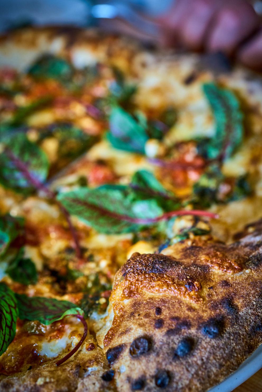 Galleria fotograficaVerso la notte in North Albina Avenue a PortlandIl portico del B&B scelto a Portland
L'ingresso del B&B
Sarah Minnick e Paolo Marchi del salone della villa occupata a Portland
Fresh Pot, il caff&egrave; del mattino nel Mississippi District in Portland
L'altra America, quella che non si chiude in se stessaFranco Pepe e il suo prezioso collaboratore Salvatore Vigliotta nella foto di Luciano Furia
In viaggio verso l'Ayers Creek Farm a Gaston
Il campo difficile da coltivare all'Ayers Creek Farm a Gaston. Per i messicani che vi lavorano, non vi &egrave; nulla da fare: &egrave; un terreno freddo. Di anima
Camminare la campagna nell'Oregon. Da sinistra verso destra si riconoscono Carol e Anthony Boutard, Sarah Minnick, Paolo Marchi, Salvatore Vigliotta e Franco Pepe. Foto di Luciano Furia
Topolino
Sarah Minnick
Anthony Boutard nei suoi campi
Franco Pepe e Sarah Minnick
Internet ha messo in crisi le famose cassette per le lettere americane
Carol Boutard, Sarah Minnick, Paolo Marchi e, ultimo a destra, Anthony Boutard
Sotto una tettoia della Ayers Creek Farm, a Gaston In Oregon, il padrone di casa, Anthony Boutard, ha sistemato due incredibili modelli Citro&euml;n che per davvero hanno fatto la storia dell'automobile: una DS famigliare (a sinistra) e, addirittura, una Traction Avant
Carol Boutard sfoglia il manuale da loro curato sul mais
Le pannocchie di granoturco nero che Anthony Boutard sta selezionado nella sua fattoria partendo da un tipo di mais blu misto a chicchi neri
Una confezione di mais nero e blu. Per arrivare a una produzione 100% nera, dopo ogni raccolto i responsabili dell&rsquo;Ayers Farm Creek commercializzano entrambi i tipi di granoturco mischiati tra loro, ma seminano solo il genere nero
Anthony Boutard, Sarah Minnick e Carol Boutard nella foto di Luciano Furia
Anthony Boutard presenta il men&ugrave; e la Minnick ride contenta
La foto, di Paolo Marchi, &egrave; mossa e andrebbe scartata ma &egrave; la sola che fissa, prima di essere servito agli ospiti, un eccellente piatto a pranzo a casa Boutard: Mais Amish Butter con ostriche, rockfish e granchi
Torta di granoturco nero Peace, No War con salsa di lamponi e crema inglese
Un ritratto particolarmente riuscito di Luciano Furia a Sarah Minnick
Paolo Marchi, Franco Pepe e Salvatore Vigliotta nella foto di Luciano Furia
Lo schizzo fatto da Franco Pepe su un tovagliolino di carta per spiegare alla Minnick come disporre al meglio i pezzi di legna nel forno per la pizza. L&rsquo;alare serve per dare aria alle braci e rendere pi&ugrave; omogeneo il calore
Paolo Marchi prende appunti mentre Sarah Minnick spiega una delle sue pizze
