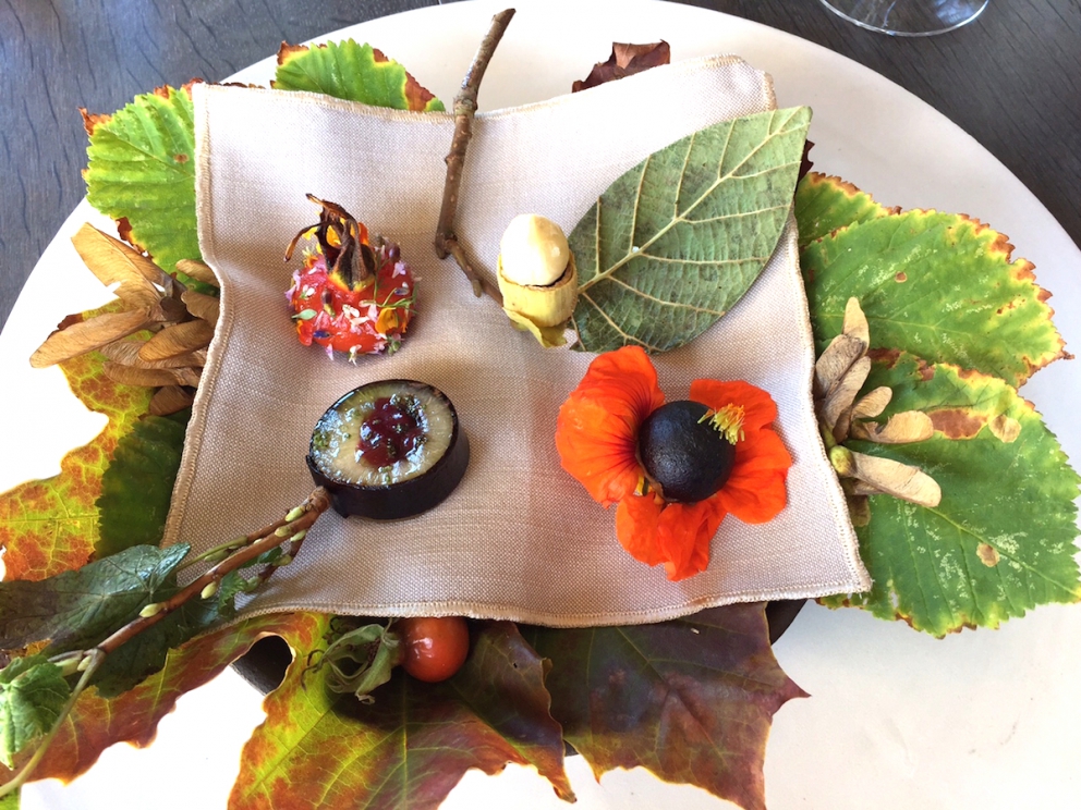 Galleria fotografica






L'edificio che ospita il Noma in una splendida giornata di sole lo scorso sabato 27 agosto, vigilia della quinta edizione di MAD5









Come in un qualsiasi ristorante di mare delle coste italiane e del mondo, il vassoio del pescato (in questo caso nei mari del Nord) viene portato al tavolo e spiegato









First apple of the new season, la prima mela della nuova stagione, una Golden skin per la precisione, per aprire un pranzo superlativo









Una volta aperta, colpo d'occhio a parte, ecco sferette di mela immerse in uno sciroppo di rose e mele fermentate due anni. La fermentazione è una parola dalla quale lì - e non solo lì - proprio non si può prescindere.






