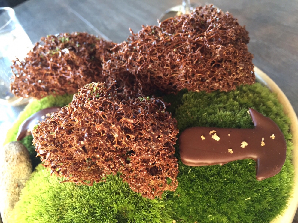 Galleria fotografica






L'edificio che ospita il Noma in una splendida giornata di sole lo scorso sabato 27 agosto, vigilia della quinta edizione di MAD5









Come in un qualsiasi ristorante di mare delle coste italiane e del mondo, il vassoio del pescato (in questo caso nei mari del Nord) viene portato al tavolo e spiegato









First apple of the new season, la prima mela della nuova stagione, una Golden skin per la precisione, per aprire un pranzo superlativo









Una volta aperta, colpo d'occhio a parte, ecco sferette di mela immerse in uno sciroppo di rose e mele fermentate due anni. La fermentazione è una parola dalla quale lì - e non solo lì - proprio non si può prescindere.









Senza parole, così siamo rimasti davanti a questi quattro frutti di fine stagione: in basso a destra (e poi in senso orario) una prugna avvolta in una pellicola naturale, nocciola fresca immersa in olio di nocciola, rosa canina ripiena di frutti di bosco e un fiore di nasturzio farcito con un ribes bacca nera









Un'immagine ravvicinata dei quattro assaggi. Sorprendente il rumore secco della nocciola schiacciata tra i denti. Quattro strepitose idee per accompagnare cocktail vegetariani









Bacche di gelsi, ma di gelsi speciali, quelli che crescono sull'isola di Bornholm, isola danese posta a oriente rispetto al nucleo principale del regno scandinavo, tra le coste della Svezia e della Polonia









Radish pie, tortino di ravanelli. Tale la bellezza del piatto che poteva facilmente deludere. Così non è stato









Chi ha portato in tavola questa preparazione, chiedendo scusa sorridendo, l'ha presentata come una sorta di caprese per via dei pomodorini essiccati e della cagliata di latte fresco. Per il Noma un passo importante: per la prima volta il pomodoro fa capolino nel suo menù. A completare il tutto ribes bianco e ribes nero, olio di colza.









A light stew of fruit and vegetables, così si chiama questa bontà. Dominano le fave e il profumo d'insieme è dato da una estrazione di ciliege









Capolavoro: Sea urcin and cabbage, ricci di mare e cavolo dove una foglia di cavolo svolge la funzione della pasta sfoglia, all'uovo e non, e il ripieno è di ricci in purezza, carnosi e intensi. Arrivano dalle acque gelide dei mari oltre Capo Nord









Un dettaglio del ravioli ai ricci di mare









Langoustine, onion and lavander: dopo l'intensità dei ricci un grande e delicato equilibrio tra i profumi di scampi, cipolle e lavanda









Superbo e godurioso granchio reale prima passato al vapore e poi spadellato con burro aromatizzato agli scampi, le teste per la precisione. Il tutto gustato con le mani









Un esterno del Noma, con il ponte sullo sfondo e tanta gente a camminare rilassata tutt'attorno









Crisp of wild plums and peas, croccante (l'ho sbriciolato al primo morso) con prugne selvatiche e piselli. Ottimo tocco finale con i fiori del timo e del limone









Crisp of wild plum and peas, tanto per ribadire bellezza e bontà









Steamed king crab and egg yolk sauce, la polpa del granchio reale cotta al vapore e servita in un'ardita salsa al tuorlo. Un piatto da meditazione









A ogni cambio di portata il cambio delle posate. Davanti a noi un coltello da Fiorentina e il cervello è andato immediatamente in quella direzione. Poi ecco Charred greens with a scallop paste, foglie di varia natura essiccate alla griglia e spennellate con una pasta di cappesante. E il coltello Laguiole? Una provocazione, ovvio.









#MADMAD5, tanto per non scordarsi perché eravamo a Copenhagen









Nasturzio, gamberi e funghi ma è un mio nome di fantasia perché questa straordinaria minestra non è ancora in carta tanto che non è stata riportata nel menù ricapitolativo che viene consegnato all'uscita.









Un dettaglio della precedente pietanza, qualcosa di stregante: ravioli di foglie di nasturzio e ripieno di gamberetti









Momento di relax, plin plin









Rombo grigliato e salsa di gamberi dolci. Immaginatevi una mini costata di mare, un incredibile giocare tra la sapidità del rombo, la sua gelatinosità e la grassezza esaltata dal calore









Foto ricordo con Renè Redzepi per Cesare Battisti e Cristina Bowerman. Attenti: mad in inglese vuole dire matto, ma in danese cibo.









Ingresso nel mondo dolce con A dessert of sheep's milk and ant paste, latte di pecora e pasta di formiche. Il verde è dato dall'acetosella e lo zucchero è di canna. Per me le formiche sono puro marketing









Il Mottarello del Noma: Grilled rose ice cream and elderflower, fiore di sambuco. E il gelato usato per copertura non è di cioccolato come è facile credere, bensì di orzo fermentato






