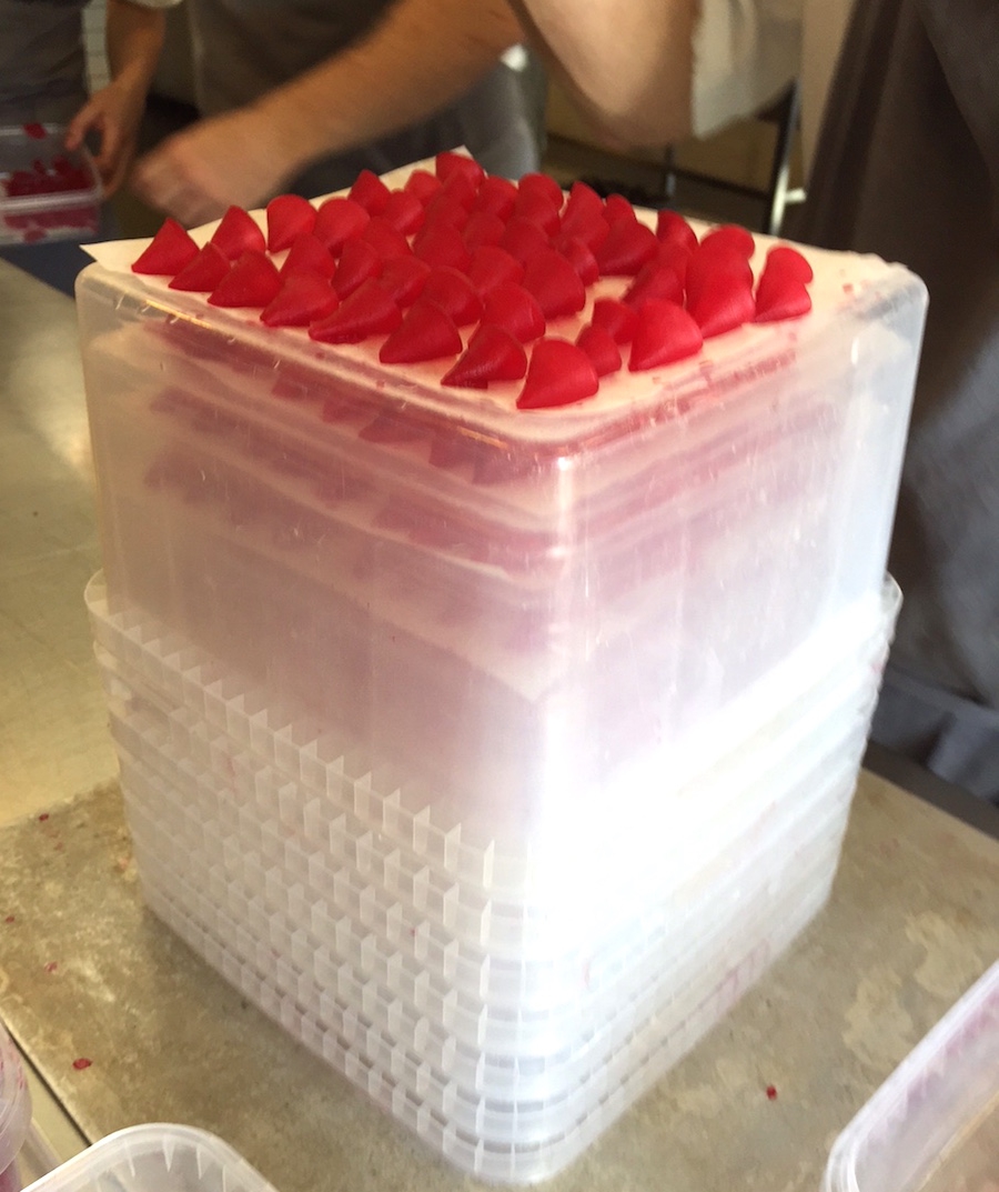 Galleria fotografica






L'edificio che ospita il Noma in una splendida giornata di sole lo scorso sabato 27 agosto, vigilia della quinta edizione di MAD5









Come in un qualsiasi ristorante di mare delle coste italiane e del mondo, il vassoio del pescato (in questo caso nei mari del Nord) viene portato al tavolo e spiegato









First apple of the new season, la prima mela della nuova stagione, una Golden skin per la precisione, per aprire un pranzo superlativo









Una volta aperta, colpo d'occhio a parte, ecco sferette di mela immerse in uno sciroppo di rose e mele fermentate due anni. La fermentazione è una parola dalla quale lì - e non solo lì - proprio non si può prescindere.









Senza parole, così siamo rimasti davanti a questi quattro frutti di fine stagione: in basso a destra (e poi in senso orario) una prugna avvolta in una pellicola naturale, nocciola fresca immersa in olio di nocciola, rosa canina ripiena di frutti di bosco e un fiore di nasturzio farcito con un ribes bacca nera









Un'immagine ravvicinata dei quattro assaggi. Sorprendente il rumore secco della nocciola schiacciata tra i denti. Quattro strepitose idee per accompagnare cocktail vegetariani









Bacche di gelsi, ma di gelsi speciali, quelli che crescono sull'isola di Bornholm, isola danese posta a oriente rispetto al nucleo principale del regno scandinavo, tra le coste della Svezia e della Polonia









Radish pie, tortino di ravanelli. Tale la bellezza del piatto che poteva facilmente deludere. Così non è stato









Chi ha portato in tavola questa preparazione, chiedendo scusa sorridendo, l'ha presentata come una sorta di caprese per via dei pomodorini essiccati e della cagliata di latte fresco. Per il Noma un passo importante: per la prima volta il pomodoro fa capolino nel suo menù. A completare il tutto ribes bianco e ribes nero, olio di colza.









A light stew of fruit and vegetables, così si chiama questa bontà. Dominano le fave e il profumo d'insieme è dato da una estrazione di ciliege









Capolavoro: Sea urcin and cabbage, ricci di mare e cavolo dove una foglia di cavolo svolge la funzione della pasta sfoglia, all'uovo e non, e il ripieno è di ricci in purezza, carnosi e intensi. Arrivano dalle acque gelide dei mari oltre Capo Nord









Un dettaglio del ravioli ai ricci di mare









Langoustine, onion and lavander: dopo l'intensità dei ricci un grande e delicato equilibrio tra i profumi di scampi, cipolle e lavanda









Superbo e godurioso granchio reale prima passato al vapore e poi spadellato con burro aromatizzato agli scampi, le teste per la precisione. Il tutto gustato con le mani









Un esterno del Noma, con il ponte sullo sfondo e tanta gente a camminare rilassata tutt'attorno









Crisp of wild plums and peas, croccante (l'ho sbriciolato al primo morso) con prugne selvatiche e piselli. Ottimo tocco finale con i fiori del timo e del limone









Crisp of wild plum and peas, tanto per ribadire bellezza e bontà









Steamed king crab and egg yolk sauce, la polpa del granchio reale cotta al vapore e servita in un'ardita salsa al tuorlo. Un piatto da meditazione









A ogni cambio di portata il cambio delle posate. Davanti a noi un coltello da Fiorentina e il cervello è andato immediatamente in quella direzione. Poi ecco Charred greens with a scallop paste, foglie di varia natura essiccate alla griglia e spennellate con una pasta di cappesante. E il coltello Laguiole? Una provocazione, ovvio.









#MADMAD5, tanto per non scordarsi perché eravamo a Copenhagen









Nasturzio, gamberi e funghi ma è un mio nome di fantasia perché questa straordinaria minestra non è ancora in carta tanto che non è stata riportata nel menù ricapitolativo che viene consegnato all'uscita.









Un dettaglio della precedente pietanza, qualcosa di stregante: ravioli di foglie di nasturzio e ripieno di gamberetti









Momento di relax, plin plin









Rombo grigliato e salsa di gamberi dolci. Immaginatevi una mini costata di mare, un incredibile giocare tra la sapidità del rombo, la sua gelatinosità e la grassezza esaltata dal calore









Foto ricordo con Renè Redzepi per Cesare Battisti e Cristina Bowerman. Attenti: mad in inglese vuole dire matto, ma in danese cibo.









Ingresso nel mondo dolce con A dessert of sheep's milk and ant paste, latte di pecora e pasta di formiche. Il verde è dato dall'acetosella e lo zucchero è di canna. Per me le formiche sono puro marketing









Il Mottarello del Noma: Grilled rose ice cream and elderflower, fiore di sambuco. E il gelato usato per copertura non è di cioccolato come è facile credere, bensì di orzo fermentato









Spettacolo: muschio cotto nel cioccolato e ciocco-porcino.









In Italia uno pensa subito al Vov, a un liquore all'uovo e non ci si sbaglia. Il tutto con l'aggiunta di sambuco e acquavite al Gewürztraminer









Un ottimo digestivo









Ecco l'orto del Noma, cassette poste sui tetti dei container usati per le fermentazioni. In Italia non sarebbero autorizzate, in pratica a prescindere da come uno lavora. Nella capitale danese sei controllato, ma ti lasciano vivere e lavorare senza risultari vessatori con interventi penalizzanti









Edoardo Canella, sous-chef patavino, spiega a Cristina Bowerman e Cesare Battisti le fermentazioni









Garum di sangue di maiale. Da noi una lavorazione impossibile









La sala al primo piano per eventi privati









La pulizia delle nocciole









L'altra faccia del tortino di ravanelli, un cuoco che deve fare a mano, ogni giorno, decine e decine di piccoli coni uguali tra loro. Senza mai sbuffare e perdere la concentrazione






