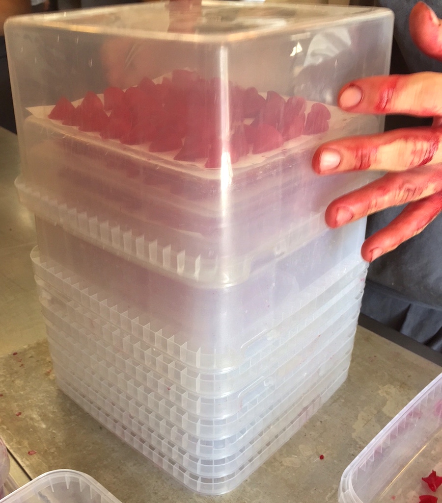 Galleria fotografica






L'edificio che ospita il Noma in una splendida giornata di sole lo scorso sabato 27 agosto, vigilia della quinta edizione di MAD5









Come in un qualsiasi ristorante di mare delle coste italiane e del mondo, il vassoio del pescato (in questo caso nei mari del Nord) viene portato al tavolo e spiegato









First apple of the new season, la prima mela della nuova stagione, una Golden skin per la precisione, per aprire un pranzo superlativo









Una volta aperta, colpo d'occhio a parte, ecco sferette di mela immerse in uno sciroppo di rose e mele fermentate due anni. La fermentazione è una parola dalla quale lì - e non solo lì - proprio non si può prescindere.









Senza parole, così siamo rimasti davanti a questi quattro frutti di fine stagione: in basso a destra (e poi in senso orario) una prugna avvolta in una pellicola naturale, nocciola fresca immersa in olio di nocciola, rosa canina ripiena di frutti di bosco e un fiore di nasturzio farcito con un ribes bacca nera









Un'immagine ravvicinata dei quattro assaggi. Sorprendente il rumore secco della nocciola schiacciata tra i denti. Quattro strepitose idee per accompagnare cocktail vegetariani









Bacche di gelsi, ma di gelsi speciali, quelli che crescono sull'isola di Bornholm, isola danese posta a oriente rispetto al nucleo principale del regno scandinavo, tra le coste della Svezia e della Polonia









Radish pie, tortino di ravanelli. Tale la bellezza del piatto che poteva facilmente deludere. Così non è stato









Chi ha portato in tavola questa preparazione, chiedendo scusa sorridendo, l'ha presentata come una sorta di caprese per via dei pomodorini essiccati e della cagliata di latte fresco. Per il Noma un passo importante: per la prima volta il pomodoro fa capolino nel suo menù. A completare il tutto ribes bianco e ribes nero, olio di colza.









A light stew of fruit and vegetables, così si chiama questa bontà. Dominano le fave e il profumo d'insieme è dato da una estrazione di ciliege









Capolavoro: Sea urcin and cabbage, ricci di mare e cavolo dove una foglia di cavolo svolge la funzione della pasta sfoglia, all'uovo e non, e il ripieno è di ricci in purezza, carnosi e intensi. Arrivano dalle acque gelide dei mari oltre Capo Nord









Un dettaglio del ravioli ai ricci di mare









Langoustine, onion and lavander: dopo l'intensità dei ricci un grande e delicato equilibrio tra i profumi di scampi, cipolle e lavanda









Superbo e godurioso granchio reale prima passato al vapore e poi spadellato con burro aromatizzato agli scampi, le teste per la precisione. Il tutto gustato con le mani









Un esterno del Noma, con il ponte sullo sfondo e tanta gente a camminare rilassata tutt'attorno









Crisp of wild plums and peas, croccante (l'ho sbriciolato al primo morso) con prugne selvatiche e piselli. Ottimo tocco finale con i fiori del timo e del limone









Crisp of wild plum and peas, tanto per ribadire bellezza e bontà









Steamed king crab and egg yolk sauce, la polpa del granchio reale cotta al vapore e servita in un'ardita salsa al tuorlo. Un piatto da meditazione









A ogni cambio di portata il cambio delle posate. Davanti a noi un coltello da Fiorentina e il cervello è andato immediatamente in quella direzione. Poi ecco Charred greens with a scallop paste, foglie di varia natura essiccate alla griglia e spennellate con una pasta di cappesante. E il coltello Laguiole? Una provocazione, ovvio.









#MADMAD5, tanto per non scordarsi perché eravamo a Copenhagen









Nasturzio, gamberi e funghi ma è un mio nome di fantasia perché questa straordinaria minestra non è ancora in carta tanto che non è stata riportata nel menù ricapitolativo che viene consegnato all'uscita.









Un dettaglio della precedente pietanza, qualcosa di stregante: ravioli di foglie di nasturzio e ripieno di gamberetti









Momento di relax, plin plin









Rombo grigliato e salsa di gamberi dolci. Immaginatevi una mini costata di mare, un incredibile giocare tra la sapidità del rombo, la sua gelatinosità e la grassezza esaltata dal calore









Foto ricordo con Renè Redzepi per Cesare Battisti e Cristina Bowerman. Attenti: mad in inglese vuole dire matto, ma in danese cibo.









Ingresso nel mondo dolce con A dessert of sheep's milk and ant paste, latte di pecora e pasta di formiche. Il verde è dato dall'acetosella e lo zucchero è di canna. Per me le formiche sono puro marketing









Il Mottarello del Noma: Grilled rose ice cream and elderflower, fiore di sambuco. E il gelato usato per copertura non è di cioccolato come è facile credere, bensì di orzo fermentato









Spettacolo: muschio cotto nel cioccolato e ciocco-porcino.









In Italia uno pensa subito al Vov, a un liquore all'uovo e non ci si sbaglia. Il tutto con l'aggiunta di sambuco e acquavite al Gewürztraminer









Un ottimo digestivo









Ecco l'orto del Noma, cassette poste sui tetti dei container usati per le fermentazioni. In Italia non sarebbero autorizzate, in pratica a prescindere da come uno lavora. Nella capitale danese sei controllato, ma ti lasciano vivere e lavorare senza risultari vessatori con interventi penalizzanti









Edoardo Canella, sous-chef patavino, spiega a Cristina Bowerman e Cesare Battisti le fermentazioni









Garum di sangue di maiale. Da noi una lavorazione impossibile









La sala al primo piano per eventi privati









La pulizia delle nocciole









L'altra faccia del tortino di ravanelli, un cuoco che deve fare a mano, ogni giorno, decine e decine di piccoli coni uguali tra loro. Senza mai sbuffare e perdere la concentrazione









Un dettaglio della lavorazione dei ravanelli






