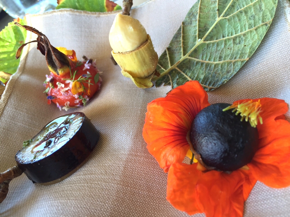 Galleria fotografica






L'edificio che ospita il Noma in una splendida giornata di sole lo scorso sabato 27 agosto, vigilia della quinta edizione di MAD5









Come in un qualsiasi ristorante di mare delle coste italiane e del mondo, il vassoio del pescato (in questo caso nei mari del Nord) viene portato al tavolo e spiegato









First apple of the new season, la prima mela della nuova stagione, una Golden skin per la precisione, per aprire un pranzo superlativo









Una volta aperta, colpo d'occhio a parte, ecco sferette di mela immerse in uno sciroppo di rose e mele fermentate due anni. La fermentazione è una parola dalla quale lì - e non solo lì - proprio non si può prescindere.









Senza parole, così siamo rimasti davanti a questi quattro frutti di fine stagione: in basso a destra (e poi in senso orario) una prugna avvolta in una pellicola naturale, nocciola fresca immersa in olio di nocciola, rosa canina ripiena di frutti di bosco e un fiore di nasturzio farcito con un ribes bacca nera






