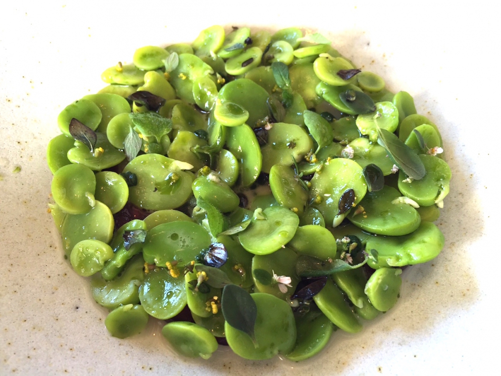 Galleria fotografica






L'edificio che ospita il Noma in una splendida giornata di sole lo scorso sabato 27 agosto, vigilia della quinta edizione di MAD5









Come in un qualsiasi ristorante di mare delle coste italiane e del mondo, il vassoio del pescato (in questo caso nei mari del Nord) viene portato al tavolo e spiegato









First apple of the new season, la prima mela della nuova stagione, una Golden skin per la precisione, per aprire un pranzo superlativo









Una volta aperta, colpo d'occhio a parte, ecco sferette di mela immerse in uno sciroppo di rose e mele fermentate due anni. La fermentazione è una parola dalla quale lì - e non solo lì - proprio non si può prescindere.









Senza parole, così siamo rimasti davanti a questi quattro frutti di fine stagione: in basso a destra (e poi in senso orario) una prugna avvolta in una pellicola naturale, nocciola fresca immersa in olio di nocciola, rosa canina ripiena di frutti di bosco e un fiore di nasturzio farcito con un ribes bacca nera









Un'immagine ravvicinata dei quattro assaggi. Sorprendente il rumore secco della nocciola schiacciata tra i denti. Quattro strepitose idee per accompagnare cocktail vegetariani









Bacche di gelsi, ma di gelsi speciali, quelli che crescono sull'isola di Bornholm, isola danese posta a oriente rispetto al nucleo principale del regno scandinavo, tra le coste della Svezia e della Polonia









Radish pie, tortino di ravanelli. Tale la bellezza del piatto che poteva facilmente deludere. Così non è stato









Chi ha portato in tavola questa preparazione, chiedendo scusa sorridendo, l'ha presentata come una sorta di caprese per via dei pomodorini essiccati e della cagliata di latte fresco. Per il Noma un passo importante: per la prima volta il pomodoro fa capolino nel suo menù. A completare il tutto ribes bianco e ribes nero, olio di colza.






