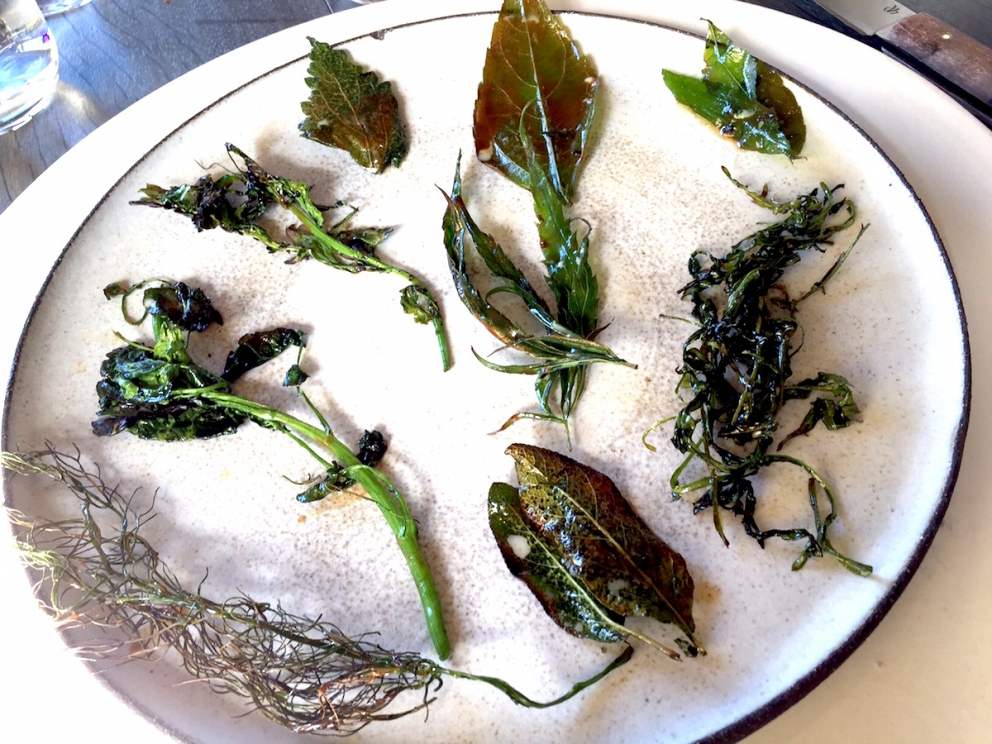 Galleria fotografica






L'edificio che ospita il Noma in una splendida giornata di sole lo scorso sabato 27 agosto, vigilia della quinta edizione di MAD5









Come in un qualsiasi ristorante di mare delle coste italiane e del mondo, il vassoio del pescato (in questo caso nei mari del Nord) viene portato al tavolo e spiegato









First apple of the new season, la prima mela della nuova stagione, una Golden skin per la precisione, per aprire un pranzo superlativo









Una volta aperta, colpo d'occhio a parte, ecco sferette di mela immerse in uno sciroppo di rose e mele fermentate due anni. La fermentazione è una parola dalla quale lì - e non solo lì - proprio non si può prescindere.









Senza parole, così siamo rimasti davanti a questi quattro frutti di fine stagione: in basso a destra (e poi in senso orario) una prugna avvolta in una pellicola naturale, nocciola fresca immersa in olio di nocciola, rosa canina ripiena di frutti di bosco e un fiore di nasturzio farcito con un ribes bacca nera









Un'immagine ravvicinata dei quattro assaggi. Sorprendente il rumore secco della nocciola schiacciata tra i denti. Quattro strepitose idee per accompagnare cocktail vegetariani









Bacche di gelsi, ma di gelsi speciali, quelli che crescono sull'isola di Bornholm, isola danese posta a oriente rispetto al nucleo principale del regno scandinavo, tra le coste della Svezia e della Polonia









Radish pie, tortino di ravanelli. Tale la bellezza del piatto che poteva facilmente deludere. Così non è stato









Chi ha portato in tavola questa preparazione, chiedendo scusa sorridendo, l'ha presentata come una sorta di caprese per via dei pomodorini essiccati e della cagliata di latte fresco. Per il Noma un passo importante: per la prima volta il pomodoro fa capolino nel suo menù. A completare il tutto ribes bianco e ribes nero, olio di colza.









A light stew of fruit and vegetables, così si chiama questa bontà. Dominano le fave e il profumo d'insieme è dato da una estrazione di ciliege









Capolavoro: Sea urcin and cabbage, ricci di mare e cavolo dove una foglia di cavolo svolge la funzione della pasta sfoglia, all'uovo e non, e il ripieno è di ricci in purezza, carnosi e intensi. Arrivano dalle acque gelide dei mari oltre Capo Nord









Un dettaglio del ravioli ai ricci di mare









Langoustine, onion and lavander: dopo l'intensità dei ricci un grande e delicato equilibrio tra i profumi di scampi, cipolle e lavanda









Superbo e godurioso granchio reale prima passato al vapore e poi spadellato con burro aromatizzato agli scampi, le teste per la precisione. Il tutto gustato con le mani









Un esterno del Noma, con il ponte sullo sfondo e tanta gente a camminare rilassata tutt'attorno









Crisp of wild plums and peas, croccante (l'ho sbriciolato al primo morso) con prugne selvatiche e piselli. Ottimo tocco finale con i fiori del timo e del limone









Crisp of wild plum and peas, tanto per ribadire bellezza e bontà









Steamed king crab and egg yolk sauce, la polpa del granchio reale cotta al vapore e servita in un'ardita salsa al tuorlo. Un piatto da meditazione






