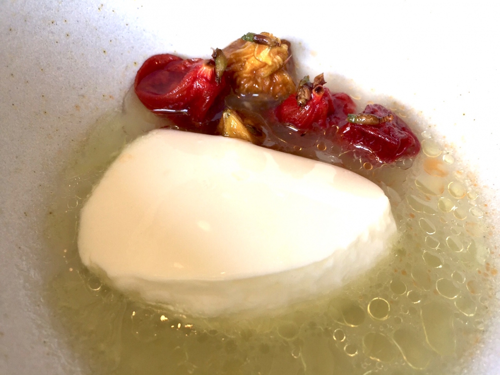 Galleria fotografica






L'edificio che ospita il Noma in una splendida giornata di sole lo scorso sabato 27 agosto, vigilia della quinta edizione di MAD5









Come in un qualsiasi ristorante di mare delle coste italiane e del mondo, il vassoio del pescato (in questo caso nei mari del Nord) viene portato al tavolo e spiegato









First apple of the new season, la prima mela della nuova stagione, una Golden skin per la precisione, per aprire un pranzo superlativo









Una volta aperta, colpo d'occhio a parte, ecco sferette di mela immerse in uno sciroppo di rose e mele fermentate due anni. La fermentazione è una parola dalla quale lì - e non solo lì - proprio non si può prescindere.









Senza parole, così siamo rimasti davanti a questi quattro frutti di fine stagione: in basso a destra (e poi in senso orario) una prugna avvolta in una pellicola naturale, nocciola fresca immersa in olio di nocciola, rosa canina ripiena di frutti di bosco e un fiore di nasturzio farcito con un ribes bacca nera









Un'immagine ravvicinata dei quattro assaggi. Sorprendente il rumore secco della nocciola schiacciata tra i denti. Quattro strepitose idee per accompagnare cocktail vegetariani









Bacche di gelsi, ma di gelsi speciali, quelli che crescono sull'isola di Bornholm, isola danese posta a oriente rispetto al nucleo principale del regno scandinavo, tra le coste della Svezia e della Polonia









Radish pie, tortino di ravanelli. Tale la bellezza del piatto che poteva facilmente deludere. Così non è stato






