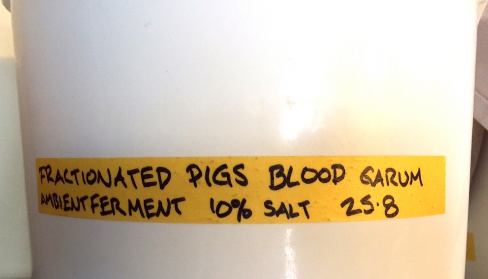 Galleria fotografica






L'edificio che ospita il Noma in una splendida giornata di sole lo scorso sabato 27 agosto, vigilia della quinta edizione di MAD5









Come in un qualsiasi ristorante di mare delle coste italiane e del mondo, il vassoio del pescato (in questo caso nei mari del Nord) viene portato al tavolo e spiegato









First apple of the new season, la prima mela della nuova stagione, una Golden skin per la precisione, per aprire un pranzo superlativo









Una volta aperta, colpo d'occhio a parte, ecco sferette di mela immerse in uno sciroppo di rose e mele fermentate due anni. La fermentazione è una parola dalla quale lì - e non solo lì - proprio non si può prescindere.









Senza parole, così siamo rimasti davanti a questi quattro frutti di fine stagione: in basso a destra (e poi in senso orario) una prugna avvolta in una pellicola naturale, nocciola fresca immersa in olio di nocciola, rosa canina ripiena di frutti di bosco e un fiore di nasturzio farcito con un ribes bacca nera









Un'immagine ravvicinata dei quattro assaggi. Sorprendente il rumore secco della nocciola schiacciata tra i denti. Quattro strepitose idee per accompagnare cocktail vegetariani









Bacche di gelsi, ma di gelsi speciali, quelli che crescono sull'isola di Bornholm, isola danese posta a oriente rispetto al nucleo principale del regno scandinavo, tra le coste della Svezia e della Polonia









Radish pie, tortino di ravanelli. Tale la bellezza del piatto che poteva facilmente deludere. Così non è stato









Chi ha portato in tavola questa preparazione, chiedendo scusa sorridendo, l'ha presentata come una sorta di caprese per via dei pomodorini essiccati e della cagliata di latte fresco. Per il Noma un passo importante: per la prima volta il pomodoro fa capolino nel suo menù. A completare il tutto ribes bianco e ribes nero, olio di colza.









A light stew of fruit and vegetables, così si chiama questa bontà. Dominano le fave e il profumo d'insieme è dato da una estrazione di ciliege









Capolavoro: Sea urcin and cabbage, ricci di mare e cavolo dove una foglia di cavolo svolge la funzione della pasta sfoglia, all'uovo e non, e il ripieno è di ricci in purezza, carnosi e intensi. Arrivano dalle acque gelide dei mari oltre Capo Nord









Un dettaglio del ravioli ai ricci di mare









Langoustine, onion and lavander: dopo l'intensità dei ricci un grande e delicato equilibrio tra i profumi di scampi, cipolle e lavanda









Superbo e godurioso granchio reale prima passato al vapore e poi spadellato con burro aromatizzato agli scampi, le teste per la precisione. Il tutto gustato con le mani









Un esterno del Noma, con il ponte sullo sfondo e tanta gente a camminare rilassata tutt'attorno









Crisp of wild plums and peas, croccante (l'ho sbriciolato al primo morso) con prugne selvatiche e piselli. Ottimo tocco finale con i fiori del timo e del limone









Crisp of wild plum and peas, tanto per ribadire bellezza e bontà









Steamed king crab and egg yolk sauce, la polpa del granchio reale cotta al vapore e servita in un'ardita salsa al tuorlo. Un piatto da meditazione









A ogni cambio di portata il cambio delle posate. Davanti a noi un coltello da Fiorentina e il cervello è andato immediatamente in quella direzione. Poi ecco Charred greens with a scallop paste, foglie di varia natura essiccate alla griglia e spennellate con una pasta di cappesante. E il coltello Laguiole? Una provocazione, ovvio.









#MADMAD5, tanto per non scordarsi perché eravamo a Copenhagen









Nasturzio, gamberi e funghi ma è un mio nome di fantasia perché questa straordinaria minestra non è ancora in carta tanto che non è stata riportata nel menù ricapitolativo che viene consegnato all'uscita.









Un dettaglio della precedente pietanza, qualcosa di stregante: ravioli di foglie di nasturzio e ripieno di gamberetti









Momento di relax, plin plin









Rombo grigliato e salsa di gamberi dolci. Immaginatevi una mini costata di mare, un incredibile giocare tra la sapidità del rombo, la sua gelatinosità e la grassezza esaltata dal calore









Foto ricordo con Renè Redzepi per Cesare Battisti e Cristina Bowerman. Attenti: mad in inglese vuole dire matto, ma in danese cibo.









Ingresso nel mondo dolce con A dessert of sheep's milk and ant paste, latte di pecora e pasta di formiche. Il verde è dato dall'acetosella e lo zucchero è di canna. Per me le formiche sono puro marketing









Il Mottarello del Noma: Grilled rose ice cream and elderflower, fiore di sambuco. E il gelato usato per copertura non è di cioccolato come è facile credere, bensì di orzo fermentato









Spettacolo: muschio cotto nel cioccolato e ciocco-porcino.









In Italia uno pensa subito al Vov, a un liquore all'uovo e non ci si sbaglia. Il tutto con l'aggiunta di sambuco e acquavite al Gewürztraminer









Un ottimo digestivo









Ecco l'orto del Noma, cassette poste sui tetti dei container usati per le fermentazioni. In Italia non sarebbero autorizzate, in pratica a prescindere da come uno lavora. Nella capitale danese sei controllato, ma ti lasciano vivere e lavorare senza risultari vessatori con interventi penalizzanti









Edoardo Canella, sous-chef patavino, spiega a Cristina Bowerman e Cesare Battisti le fermentazioni






