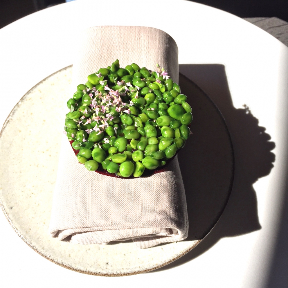 Galleria fotografica






L'edificio che ospita il Noma in una splendida giornata di sole lo scorso sabato 27 agosto, vigilia della quinta edizione di MAD5









Come in un qualsiasi ristorante di mare delle coste italiane e del mondo, il vassoio del pescato (in questo caso nei mari del Nord) viene portato al tavolo e spiegato









First apple of the new season, la prima mela della nuova stagione, una Golden skin per la precisione, per aprire un pranzo superlativo









Una volta aperta, colpo d'occhio a parte, ecco sferette di mela immerse in uno sciroppo di rose e mele fermentate due anni. La fermentazione è una parola dalla quale lì - e non solo lì - proprio non si può prescindere.









Senza parole, così siamo rimasti davanti a questi quattro frutti di fine stagione: in basso a destra (e poi in senso orario) una prugna avvolta in una pellicola naturale, nocciola fresca immersa in olio di nocciola, rosa canina ripiena di frutti di bosco e un fiore di nasturzio farcito con un ribes bacca nera









Un'immagine ravvicinata dei quattro assaggi. Sorprendente il rumore secco della nocciola schiacciata tra i denti. Quattro strepitose idee per accompagnare cocktail vegetariani









Bacche di gelsi, ma di gelsi speciali, quelli che crescono sull'isola di Bornholm, isola danese posta a oriente rispetto al nucleo principale del regno scandinavo, tra le coste della Svezia e della Polonia









Radish pie, tortino di ravanelli. Tale la bellezza del piatto che poteva facilmente deludere. Così non è stato









Chi ha portato in tavola questa preparazione, chiedendo scusa sorridendo, l'ha presentata come una sorta di caprese per via dei pomodorini essiccati e della cagliata di latte fresco. Per il Noma un passo importante: per la prima volta il pomodoro fa capolino nel suo menù. A completare il tutto ribes bianco e ribes nero, olio di colza.









A light stew of fruit and vegetables, così si chiama questa bontà. Dominano le fave e il profumo d'insieme è dato da una estrazione di ciliege









Capolavoro: Sea urcin and cabbage, ricci di mare e cavolo dove una foglia di cavolo svolge la funzione della pasta sfoglia, all'uovo e non, e il ripieno è di ricci in purezza, carnosi e intensi. Arrivano dalle acque gelide dei mari oltre Capo Nord









Un dettaglio del ravioli ai ricci di mare









Langoustine, onion and lavander: dopo l'intensità dei ricci un grande e delicato equilibrio tra i profumi di scampi, cipolle e lavanda









Superbo e godurioso granchio reale prima passato al vapore e poi spadellato con burro aromatizzato agli scampi, le teste per la precisione. Il tutto gustato con le mani









Un esterno del Noma, con il ponte sullo sfondo e tanta gente a camminare rilassata tutt'attorno






