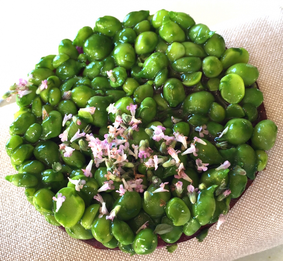 Galleria fotografica






L'edificio che ospita il Noma in una splendida giornata di sole lo scorso sabato 27 agosto, vigilia della quinta edizione di MAD5









Come in un qualsiasi ristorante di mare delle coste italiane e del mondo, il vassoio del pescato (in questo caso nei mari del Nord) viene portato al tavolo e spiegato









First apple of the new season, la prima mela della nuova stagione, una Golden skin per la precisione, per aprire un pranzo superlativo









Una volta aperta, colpo d'occhio a parte, ecco sferette di mela immerse in uno sciroppo di rose e mele fermentate due anni. La fermentazione è una parola dalla quale lì - e non solo lì - proprio non si può prescindere.









Senza parole, così siamo rimasti davanti a questi quattro frutti di fine stagione: in basso a destra (e poi in senso orario) una prugna avvolta in una pellicola naturale, nocciola fresca immersa in olio di nocciola, rosa canina ripiena di frutti di bosco e un fiore di nasturzio farcito con un ribes bacca nera









Un'immagine ravvicinata dei quattro assaggi. Sorprendente il rumore secco della nocciola schiacciata tra i denti. Quattro strepitose idee per accompagnare cocktail vegetariani









Bacche di gelsi, ma di gelsi speciali, quelli che crescono sull'isola di Bornholm, isola danese posta a oriente rispetto al nucleo principale del regno scandinavo, tra le coste della Svezia e della Polonia









Radish pie, tortino di ravanelli. Tale la bellezza del piatto che poteva facilmente deludere. Così non è stato









Chi ha portato in tavola questa preparazione, chiedendo scusa sorridendo, l'ha presentata come una sorta di caprese per via dei pomodorini essiccati e della cagliata di latte fresco. Per il Noma un passo importante: per la prima volta il pomodoro fa capolino nel suo menù. A completare il tutto ribes bianco e ribes nero, olio di colza.









A light stew of fruit and vegetables, così si chiama questa bontà. Dominano le fave e il profumo d'insieme è dato da una estrazione di ciliege









Capolavoro: Sea urcin and cabbage, ricci di mare e cavolo dove una foglia di cavolo svolge la funzione della pasta sfoglia, all'uovo e non, e il ripieno è di ricci in purezza, carnosi e intensi. Arrivano dalle acque gelide dei mari oltre Capo Nord









Un dettaglio del ravioli ai ricci di mare









Langoustine, onion and lavander: dopo l'intensità dei ricci un grande e delicato equilibrio tra i profumi di scampi, cipolle e lavanda









Superbo e godurioso granchio reale prima passato al vapore e poi spadellato con burro aromatizzato agli scampi, le teste per la precisione. Il tutto gustato con le mani









Un esterno del Noma, con il ponte sullo sfondo e tanta gente a camminare rilassata tutt'attorno









Crisp of wild plums and peas, croccante (l'ho sbriciolato al primo morso) con prugne selvatiche e piselli. Ottimo tocco finale con i fiori del timo e del limone






