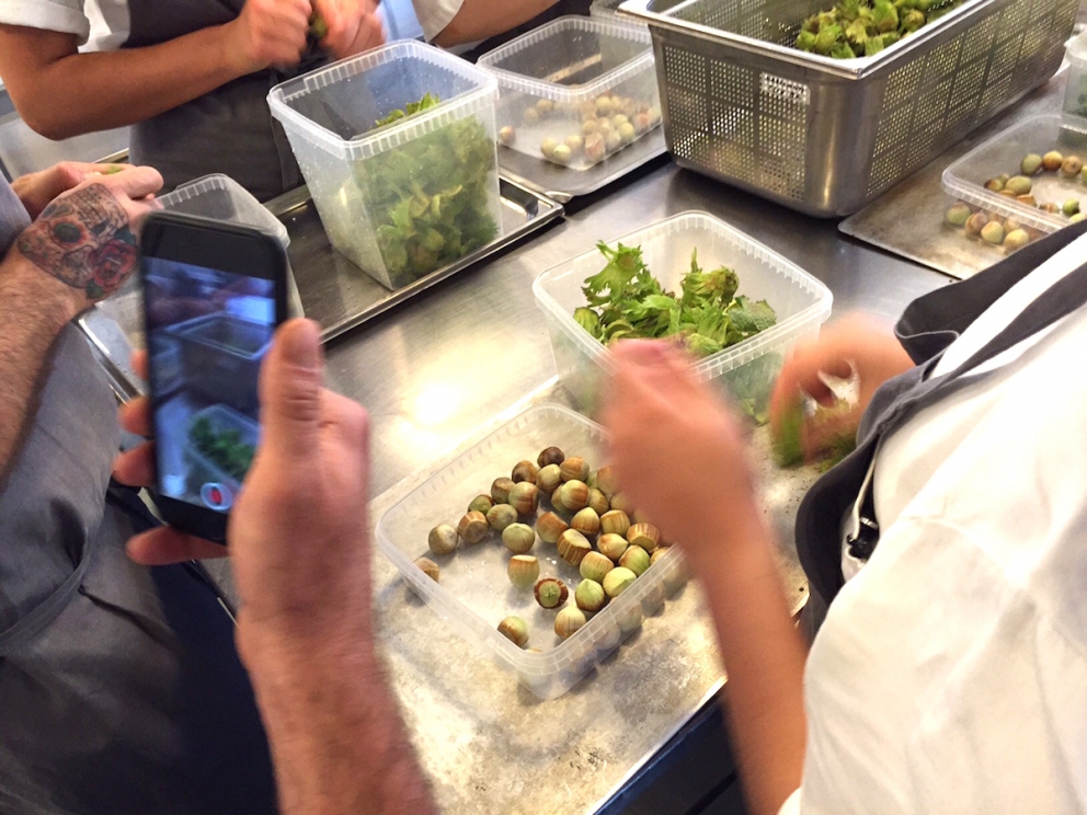 Galleria fotografica






L'edificio che ospita il Noma in una splendida giornata di sole lo scorso sabato 27 agosto, vigilia della quinta edizione di MAD5









Come in un qualsiasi ristorante di mare delle coste italiane e del mondo, il vassoio del pescato (in questo caso nei mari del Nord) viene portato al tavolo e spiegato









First apple of the new season, la prima mela della nuova stagione, una Golden skin per la precisione, per aprire un pranzo superlativo









Una volta aperta, colpo d'occhio a parte, ecco sferette di mela immerse in uno sciroppo di rose e mele fermentate due anni. La fermentazione è una parola dalla quale lì - e non solo lì - proprio non si può prescindere.









Senza parole, così siamo rimasti davanti a questi quattro frutti di fine stagione: in basso a destra (e poi in senso orario) una prugna avvolta in una pellicola naturale, nocciola fresca immersa in olio di nocciola, rosa canina ripiena di frutti di bosco e un fiore di nasturzio farcito con un ribes bacca nera









Un'immagine ravvicinata dei quattro assaggi. Sorprendente il rumore secco della nocciola schiacciata tra i denti. Quattro strepitose idee per accompagnare cocktail vegetariani









Bacche di gelsi, ma di gelsi speciali, quelli che crescono sull'isola di Bornholm, isola danese posta a oriente rispetto al nucleo principale del regno scandinavo, tra le coste della Svezia e della Polonia









Radish pie, tortino di ravanelli. Tale la bellezza del piatto che poteva facilmente deludere. Così non è stato









Chi ha portato in tavola questa preparazione, chiedendo scusa sorridendo, l'ha presentata come una sorta di caprese per via dei pomodorini essiccati e della cagliata di latte fresco. Per il Noma un passo importante: per la prima volta il pomodoro fa capolino nel suo menù. A completare il tutto ribes bianco e ribes nero, olio di colza.









A light stew of fruit and vegetables, così si chiama questa bontà. Dominano le fave e il profumo d'insieme è dato da una estrazione di ciliege









Capolavoro: Sea urcin and cabbage, ricci di mare e cavolo dove una foglia di cavolo svolge la funzione della pasta sfoglia, all'uovo e non, e il ripieno è di ricci in purezza, carnosi e intensi. Arrivano dalle acque gelide dei mari oltre Capo Nord









Un dettaglio del ravioli ai ricci di mare









Langoustine, onion and lavander: dopo l'intensità dei ricci un grande e delicato equilibrio tra i profumi di scampi, cipolle e lavanda









Superbo e godurioso granchio reale prima passato al vapore e poi spadellato con burro aromatizzato agli scampi, le teste per la precisione. Il tutto gustato con le mani









Un esterno del Noma, con il ponte sullo sfondo e tanta gente a camminare rilassata tutt'attorno









Crisp of wild plums and peas, croccante (l'ho sbriciolato al primo morso) con prugne selvatiche e piselli. Ottimo tocco finale con i fiori del timo e del limone









Crisp of wild plum and peas, tanto per ribadire bellezza e bontà









Steamed king crab and egg yolk sauce, la polpa del granchio reale cotta al vapore e servita in un'ardita salsa al tuorlo. Un piatto da meditazione









A ogni cambio di portata il cambio delle posate. Davanti a noi un coltello da Fiorentina e il cervello è andato immediatamente in quella direzione. Poi ecco Charred greens with a scallop paste, foglie di varia natura essiccate alla griglia e spennellate con una pasta di cappesante. E il coltello Laguiole? Una provocazione, ovvio.









#MADMAD5, tanto per non scordarsi perché eravamo a Copenhagen









Nasturzio, gamberi e funghi ma è un mio nome di fantasia perché questa straordinaria minestra non è ancora in carta tanto che non è stata riportata nel menù ricapitolativo che viene consegnato all'uscita.









Un dettaglio della precedente pietanza, qualcosa di stregante: ravioli di foglie di nasturzio e ripieno di gamberetti









Momento di relax, plin plin









Rombo grigliato e salsa di gamberi dolci. Immaginatevi una mini costata di mare, un incredibile giocare tra la sapidità del rombo, la sua gelatinosità e la grassezza esaltata dal calore









Foto ricordo con Renè Redzepi per Cesare Battisti e Cristina Bowerman. Attenti: mad in inglese vuole dire matto, ma in danese cibo.









Ingresso nel mondo dolce con A dessert of sheep's milk and ant paste, latte di pecora e pasta di formiche. Il verde è dato dall'acetosella e lo zucchero è di canna. Per me le formiche sono puro marketing









Il Mottarello del Noma: Grilled rose ice cream and elderflower, fiore di sambuco. E il gelato usato per copertura non è di cioccolato come è facile credere, bensì di orzo fermentato









Spettacolo: muschio cotto nel cioccolato e ciocco-porcino.









In Italia uno pensa subito al Vov, a un liquore all'uovo e non ci si sbaglia. Il tutto con l'aggiunta di sambuco e acquavite al Gewürztraminer









Un ottimo digestivo









Ecco l'orto del Noma, cassette poste sui tetti dei container usati per le fermentazioni. In Italia non sarebbero autorizzate, in pratica a prescindere da come uno lavora. Nella capitale danese sei controllato, ma ti lasciano vivere e lavorare senza risultari vessatori con interventi penalizzanti









Edoardo Canella, sous-chef patavino, spiega a Cristina Bowerman e Cesare Battisti le fermentazioni









Garum di sangue di maiale. Da noi una lavorazione impossibile









La sala al primo piano per eventi privati






