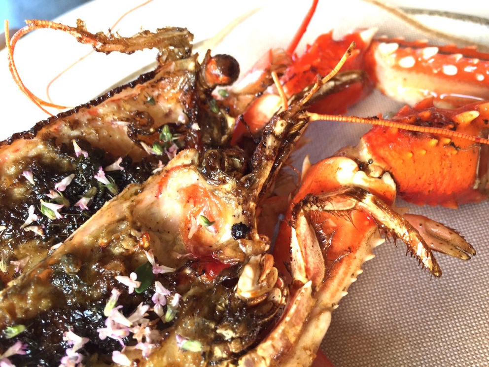 Galleria fotografica






L'edificio che ospita il Noma in una splendida giornata di sole lo scorso sabato 27 agosto, vigilia della quinta edizione di MAD5









Come in un qualsiasi ristorante di mare delle coste italiane e del mondo, il vassoio del pescato (in questo caso nei mari del Nord) viene portato al tavolo e spiegato









First apple of the new season, la prima mela della nuova stagione, una Golden skin per la precisione, per aprire un pranzo superlativo









Una volta aperta, colpo d'occhio a parte, ecco sferette di mela immerse in uno sciroppo di rose e mele fermentate due anni. La fermentazione è una parola dalla quale lì - e non solo lì - proprio non si può prescindere.









Senza parole, così siamo rimasti davanti a questi quattro frutti di fine stagione: in basso a destra (e poi in senso orario) una prugna avvolta in una pellicola naturale, nocciola fresca immersa in olio di nocciola, rosa canina ripiena di frutti di bosco e un fiore di nasturzio farcito con un ribes bacca nera









Un'immagine ravvicinata dei quattro assaggi. Sorprendente il rumore secco della nocciola schiacciata tra i denti. Quattro strepitose idee per accompagnare cocktail vegetariani









Bacche di gelsi, ma di gelsi speciali, quelli che crescono sull'isola di Bornholm, isola danese posta a oriente rispetto al nucleo principale del regno scandinavo, tra le coste della Svezia e della Polonia









Radish pie, tortino di ravanelli. Tale la bellezza del piatto che poteva facilmente deludere. Così non è stato









Chi ha portato in tavola questa preparazione, chiedendo scusa sorridendo, l'ha presentata come una sorta di caprese per via dei pomodorini essiccati e della cagliata di latte fresco. Per il Noma un passo importante: per la prima volta il pomodoro fa capolino nel suo menù. A completare il tutto ribes bianco e ribes nero, olio di colza.









A light stew of fruit and vegetables, così si chiama questa bontà. Dominano le fave e il profumo d'insieme è dato da una estrazione di ciliege









Capolavoro: Sea urcin and cabbage, ricci di mare e cavolo dove una foglia di cavolo svolge la funzione della pasta sfoglia, all'uovo e non, e il ripieno è di ricci in purezza, carnosi e intensi. Arrivano dalle acque gelide dei mari oltre Capo Nord









Un dettaglio del ravioli ai ricci di mare









Langoustine, onion and lavander: dopo l'intensità dei ricci un grande e delicato equilibrio tra i profumi di scampi, cipolle e lavanda






