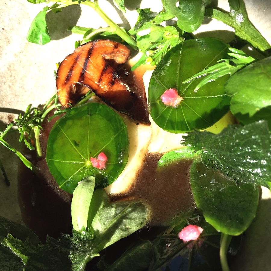 Galleria fotografica






L'edificio che ospita il Noma in una splendida giornata di sole lo scorso sabato 27 agosto, vigilia della quinta edizione di MAD5









Come in un qualsiasi ristorante di mare delle coste italiane e del mondo, il vassoio del pescato (in questo caso nei mari del Nord) viene portato al tavolo e spiegato









First apple of the new season, la prima mela della nuova stagione, una Golden skin per la precisione, per aprire un pranzo superlativo









Una volta aperta, colpo d'occhio a parte, ecco sferette di mela immerse in uno sciroppo di rose e mele fermentate due anni. La fermentazione è una parola dalla quale lì - e non solo lì - proprio non si può prescindere.









Senza parole, così siamo rimasti davanti a questi quattro frutti di fine stagione: in basso a destra (e poi in senso orario) una prugna avvolta in una pellicola naturale, nocciola fresca immersa in olio di nocciola, rosa canina ripiena di frutti di bosco e un fiore di nasturzio farcito con un ribes bacca nera









Un'immagine ravvicinata dei quattro assaggi. Sorprendente il rumore secco della nocciola schiacciata tra i denti. Quattro strepitose idee per accompagnare cocktail vegetariani









Bacche di gelsi, ma di gelsi speciali, quelli che crescono sull'isola di Bornholm, isola danese posta a oriente rispetto al nucleo principale del regno scandinavo, tra le coste della Svezia e della Polonia









Radish pie, tortino di ravanelli. Tale la bellezza del piatto che poteva facilmente deludere. Così non è stato









Chi ha portato in tavola questa preparazione, chiedendo scusa sorridendo, l'ha presentata come una sorta di caprese per via dei pomodorini essiccati e della cagliata di latte fresco. Per il Noma un passo importante: per la prima volta il pomodoro fa capolino nel suo menù. A completare il tutto ribes bianco e ribes nero, olio di colza.









A light stew of fruit and vegetables, così si chiama questa bontà. Dominano le fave e il profumo d'insieme è dato da una estrazione di ciliege









Capolavoro: Sea urcin and cabbage, ricci di mare e cavolo dove una foglia di cavolo svolge la funzione della pasta sfoglia, all'uovo e non, e il ripieno è di ricci in purezza, carnosi e intensi. Arrivano dalle acque gelide dei mari oltre Capo Nord









Un dettaglio del ravioli ai ricci di mare









Langoustine, onion and lavander: dopo l'intensità dei ricci un grande e delicato equilibrio tra i profumi di scampi, cipolle e lavanda









Superbo e godurioso granchio reale prima passato al vapore e poi spadellato con burro aromatizzato agli scampi, le teste per la precisione. Il tutto gustato con le mani









Un esterno del Noma, con il ponte sullo sfondo e tanta gente a camminare rilassata tutt'attorno









Crisp of wild plums and peas, croccante (l'ho sbriciolato al primo morso) con prugne selvatiche e piselli. Ottimo tocco finale con i fiori del timo e del limone









Crisp of wild plum and peas, tanto per ribadire bellezza e bontà









Steamed king crab and egg yolk sauce, la polpa del granchio reale cotta al vapore e servita in un'ardita salsa al tuorlo. Un piatto da meditazione









A ogni cambio di portata il cambio delle posate. Davanti a noi un coltello da Fiorentina e il cervello è andato immediatamente in quella direzione. Poi ecco Charred greens with a scallop paste, foglie di varia natura essiccate alla griglia e spennellate con una pasta di cappesante. E il coltello Laguiole? Una provocazione, ovvio.









#MADMAD5, tanto per non scordarsi perché eravamo a Copenhagen






