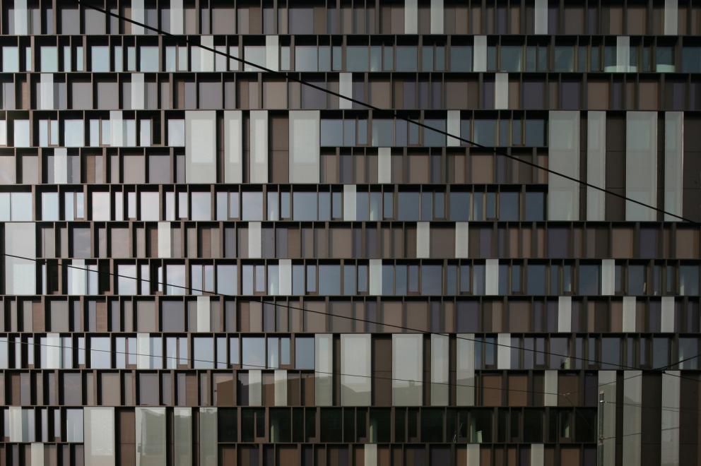 Galleria fotografica



