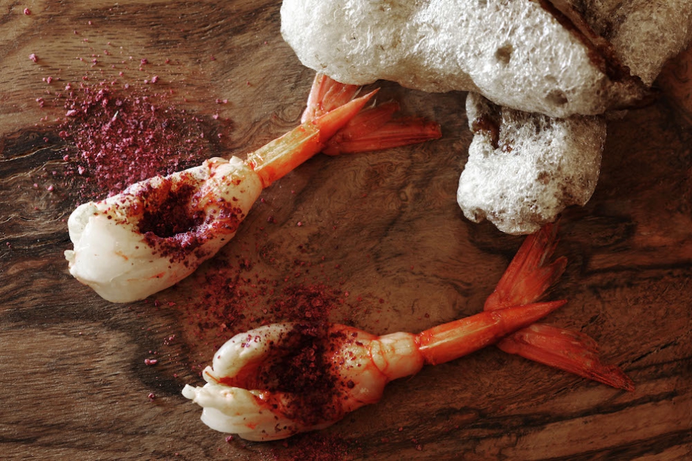 Galleria fotografica



