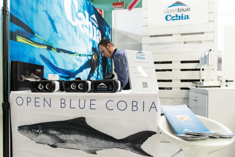 Galleria fotografica






Dispensa

Dispensa – Generi Alimentari & Generi Umani è il magazine italiano indipendente e da collezione dedicato al cibo, creato da Martina Liverani. In Dispensa le storie dei generi alimentari si intersecano a quelle dei generi umani dando vita a originali racconti fatti di parole e immagini. Un progetto controcorrente che in epoca digitale, grazie alla bellezza tattile di un prodotto editoriale antico, invita il lettore a riprendersi il tempo da dedicare alle cose belle. «Non potevamo mancare a questo grande evento, è un’occasione imperdibile non solo a livello di contatti ma anche perché ci offre una full immersion tra le eccellenze della gastronomia»









Italia Squisita 

ItaliaSquisita è il network b2b di riferimento per chi ama la ristorazione e l’accoglienza di alta gamma. Non è voluta mancare all'appuntamento con Identità Milano 2017









James 1599 

Debutto avventuroso nell'alta cucina a Identità Golose del brand James 1599. L'equipaggio, che muove i suoi passi dall'antica Compagnia Inglese delle Indie Orientali, ha portato in scena le sue spezie, i suoi sali dal mondo e le erbe aromatiche. Prodotti di alta qualità, attentamente ricercati e con un packaging all'altezza delle aspettative. Polveri impalpabili, semi aromatici, erbe disidratate, gemme marine e vulcaniche, magnifici pepi e non solo sono stati annusati e assaporati durante il congresso, assieme a golose frolle aromatizzate con la miscela di curry dolce She's My Curry creata ad hoc









Joaquin 

Per la prima volta a Identità Milano, l’azienda vitivinicola irpina Joaquin ha presentato il progetto Joaquin Dall’Isola, che le ha permesso di salvare i pochissimi quintali di uva dell’isola di Capri, prodotti da piccoli vigneti coltivati a varietà Greco, Falanghina, Biancolella, e quella che dai contadini del posto è chiamata “Ciunchesa”. Da Capri, nel 2009, sono state prodotte circa 800 Magnum, mentre nel 2010 sono state realizzate circa 2000 bottiglie. A queste si aggiunge il Vino Rosato 2012, da uve Guarnaccia e Piedirosso, un piccolo gioiello enologico di sole 68 bottiglie









Kai 

Durante tutto il congresso allo spazio espositivo di Coltelleria Kai abbiamo fatto un viaggio in Oriente con sfilettature del pesce con tecnica giapponese, decorazioni con verdure e confezionamenti di sushi e sashimi









Koppert Cress

 Koppert Cress è costantemente alla ricerca di ingredienti naturali innovativi, che permettano agli chef di aumentare il gusto e l’aroma dei loro piatti e di migliorarne la presentazione. «Siamo produttori di colori e gli chef sono i nostri pittori» ci ha spiegato Enrico Zallot. Una vasta rete internazionale di biologi, di esperti nel settore dei vegetali e di gastronomi fornisce un flusso continuo di prodotti, che soddisfa i requisiti culinari sempre più elevati di ristoranti sparsi ovunque nel mondo









Longino & Cardenal

Longino & Cardenal continua il percorso alla base del suo successo: la costante ricerca di cibi rari e preziosi. E' stato accompagnato da due nuovi partner: Pariani, un’azienda piemontese nata come produttrice di Olio di Nocciola, e Tartuflanghe, insignita da anni del titolo “Eccellenza Artigiana” dalla Regione Piemonte. Lo stand ha visto la presenza dello chef basco Senèn González che ha deliziato i visitatori proponendo le innovative lamine di patata disidratata e bacon ripiene di tuorlo d’uovo. All’interno della Longino Vip Lounge, chef e visitatori della manifestazione hanno potuto apprezzare alcuni finger food realizzati dalle giovani e sapienti mani del company chef aziendale, rigorosamente con prodotti commercializzati da Longino & Cardenal. Anche Andrea Larossa, chef del ristorante Larossa ad Alba, ha presentato una versione finger dei suoi piatti a base di prodotti Tartuflanghe. E ancora: plancton marino Veta La Palma; pane Triticum che ha nobilitato il pane precotto e surgelato; i fiori e le erbe eduli dell’azienda alto-atesina Alpin Herbs; il tonno rosso del mediterraneo Balfegò, il baccalà dissalato Giraldo e, non da ultimo, il gambero rosso di Mazara del Vallo di Don Gambero









Macelleria Zivieri e Zivieri Tartufi

In linea con il tema del congresso, Macelleria Zivieri Massimo e Zivieri Tartufi hanno animato il proprio stand con il meglio della loro produzione. Battute al coltello di bovino e cervo affiancate dal tartufo nero pregiato, toast con prosciutto cotto di Mora Romagnola, crostini con patè fegato di pollo allevato a terra e funghi galletti, degustazioni di salame Montanaro di Mora Romagnola recentemente nominato il miglior salame in Italia, tagliata di capriolo e mini hamburger di selvaggina con tartufo bianchetto. Valore delle aziende protagoniste è l'attenzione verso prodotti naturali, a completa disposizione di una ristorazione attenta e scrupolosa, secondo filiere di produzione uniche in Italia









Manicardi 

Manicardi ha portato a Identità Milano due eccellenze enogastronomiche dell’Emilia Romagna: Lambrusco e Aceto Balsamico di Modena. In degustazione: Lambrusco Grasparossa di Castelvetro DOC “Vigna Cà del Fiore”, Spumante Brut Rosè “Fabula”, Aceto Balsamico Tradizionale di Modena DOP Extra Vecchio, Aceto Balsamico di Modena IGP “Nero Elisir”, Aceto Balsamico di Modena IGP “Nero Elisir Gold” e Aceto Balsamico di Modena IGP “5 Scudi”.









Masseria Schinosa

Nella Masseria Schinosa da oltre trecento anni si fa olio extravergine di oliva con amore per la terra e per gli oltre 28.000 secolari olivi pugliesi. Gli oliveti sono condotti con le più moderne tecniche colturali e nella produzione del loro olio extra vergine di oliva si incontrano e si fondono tradizione e innovazione









Mealitaly

Mealitaly e Tesoritalia nascono per promuovere e tutelare le eccellenze tipiche del territorio italiano grazie all’alta qualità della produzione stessa. Lavorando in aree DOP e IGP, come il Parco Nazionale del Vesuvio, la Penisola Sorrentina, le Colline Salernitane e il Cilento, per ciascuna referenza è stato redatto un "disciplinare di produzione interno", elevando gli standard qualitativi a livelli altissimi sia sul mercato italiano che estero. Ogni prodotto è controllato in ogni sua fase di produzione e lavorazione, partendo dalla coltivazione diretta delle materie prime sino al packaging finale









Mepra

Mepra nasce nel 1946 dalla trasformazione dell’azienda della famiglia Prandelli che, a cavallo delle due guerre, produce materiale bellico. L’indirizzo scelto dall’azienda per la propria produzione, privilegia la qualità e non la quantità: l’alluminio, utilizzato fino ad allora, viene immediatamente sostituito dall’ottone cromato, materiale di qualità superiore. Mepra continua a produrre tutti i suoi articoli in Italia, ed è presente oggi negli ambienti più esclusivi e rinomati del mondo, dagli hotel di lusso alle compagnie di crociera e aeree









Mielizia

Nel corso delle tre giornate Mielizia ha effettuato presso il proprio spazio espositivo a Identità Milano degustazioni dei loro mieli italiani millefiori e monoflora e altri prodotti apistici, anche in accompagnamento a formaggi, per conoscere meglio i prodotti della gamma e far apprezzare la varietà del miele italiano, suggerendo insoliti abbinamenti gastronomici









Niko Formazione

Un percorso di formazione unico in Italia, dalla partnership con l'Università degli Studi di Scienze Gastronomiche di Pollenzo alla full immersion in Casadonna Reale, al progetto Spazio, ristorante-laboratorio dove convertire la pratica didattica in lavoro nell'ottica della ricerca









Olitalia

Olitalia a Identità Milano ha presentato le sue eccellenze della linea Gourmet: gli Extravergini Regionali, le Monocultivar, l’Aceto Balsamico di Modena, e Frienn, l’innovativo olio di girasole altoleico per una frittura sana e leggera. L’azienda è specializzata da più di 30 anni nella produzione di oli e aceti ed è presente in oltre 120 paesi nel mondo






