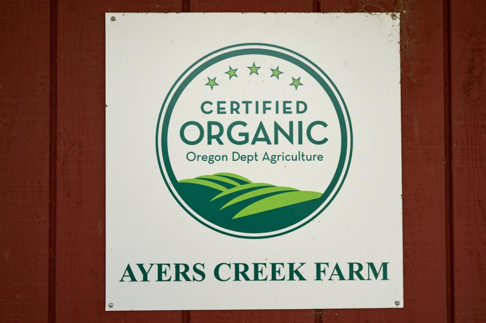 Galleria fotograficaVerso la notte in North Albina Avenue a PortlandIl portico del B&B scelto a Portland
L'ingresso del B&B
Sarah Minnick e Paolo Marchi del salone della villa occupata a Portland
Fresh Pot, il caff&egrave; del mattino nel Mississippi District in Portland
L'altra America, quella che non si chiude in se stessaFranco Pepe e il suo prezioso collaboratore Salvatore Vigliotta nella foto di Luciano Furia
In viaggio verso l'Ayers Creek Farm a Gaston
