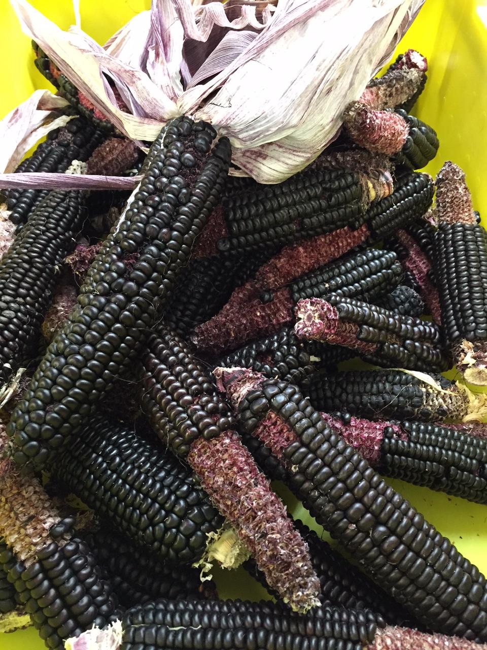 Galleria fotograficaVerso la notte in North Albina Avenue a PortlandIl portico del B&B scelto a Portland
L'ingresso del B&B
Sarah Minnick e Paolo Marchi del salone della villa occupata a Portland
Fresh Pot, il caff&egrave; del mattino nel Mississippi District in Portland
L'altra America, quella che non si chiude in se stessaFranco Pepe e il suo prezioso collaboratore Salvatore Vigliotta nella foto di Luciano Furia
In viaggio verso l'Ayers Creek Farm a Gaston
Il campo difficile da coltivare all'Ayers Creek Farm a Gaston. Per i messicani che vi lavorano, non vi &egrave; nulla da fare: &egrave; un terreno freddo. Di anima
Camminare la campagna nell'Oregon. Da sinistra verso destra si riconoscono Carol e Anthony Boutard, Sarah Minnick, Paolo Marchi, Salvatore Vigliotta e Franco Pepe. Foto di Luciano Furia
Topolino
Sarah Minnick
Anthony Boutard nei suoi campi
Franco Pepe e Sarah Minnick
Internet ha messo in crisi le famose cassette per le lettere americane
Carol Boutard, Sarah Minnick, Paolo Marchi e, ultimo a destra, Anthony Boutard
Sotto una tettoia della Ayers Creek Farm, a Gaston In Oregon, il padrone di casa, Anthony Boutard, ha sistemato due incredibili modelli Citro&euml;n che per davvero hanno fatto la storia dell'automobile: una DS famigliare (a sinistra) e, addirittura, una Traction Avant
Carol Boutard sfoglia il manuale da loro curato sul mais
