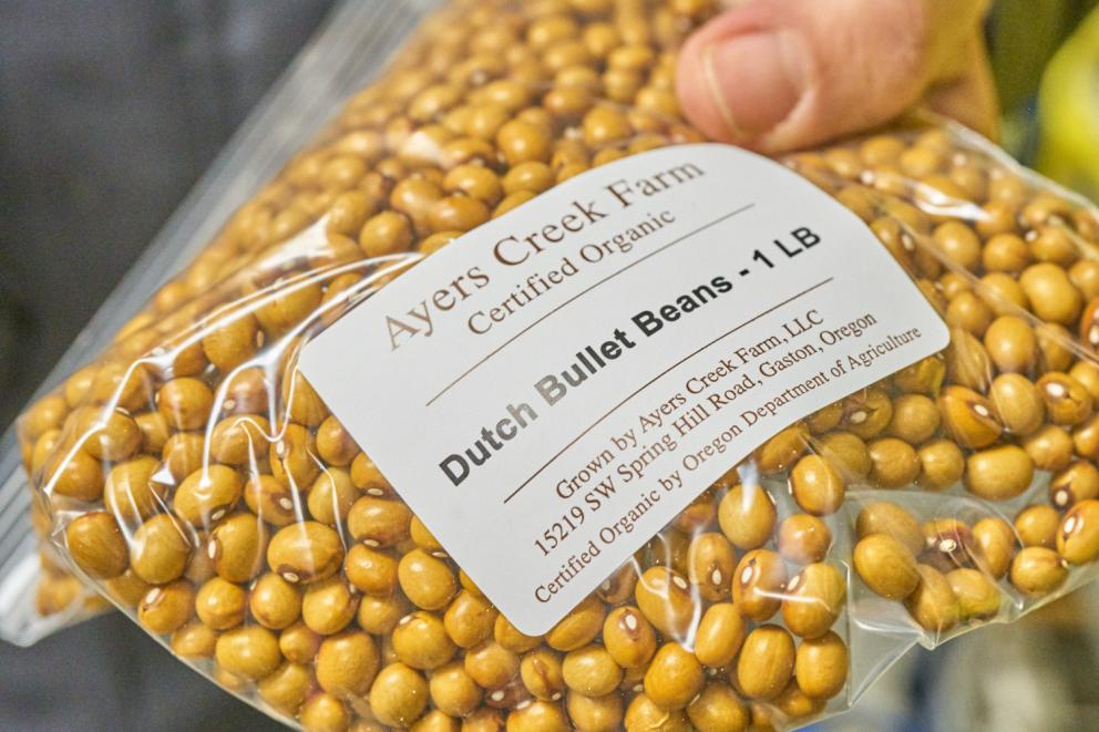 Galleria fotograficaVerso la notte in North Albina Avenue a PortlandIl portico del B&B scelto a Portland
L'ingresso del B&B
Sarah Minnick e Paolo Marchi del salone della villa occupata a Portland
Fresh Pot, il caff&egrave; del mattino nel Mississippi District in Portland
L'altra America, quella che non si chiude in se stessaFranco Pepe e il suo prezioso collaboratore Salvatore Vigliotta nella foto di Luciano Furia
In viaggio verso l'Ayers Creek Farm a Gaston
Il campo difficile da coltivare all'Ayers Creek Farm a Gaston. Per i messicani che vi lavorano, non vi &egrave; nulla da fare: &egrave; un terreno freddo. Di anima
Camminare la campagna nell'Oregon. Da sinistra verso destra si riconoscono Carol e Anthony Boutard, Sarah Minnick, Paolo Marchi, Salvatore Vigliotta e Franco Pepe. Foto di Luciano Furia
Topolino
Sarah Minnick
Anthony Boutard nei suoi campi
Franco Pepe e Sarah Minnick
Internet ha messo in crisi le famose cassette per le lettere americane
Carol Boutard, Sarah Minnick, Paolo Marchi e, ultimo a destra, Anthony Boutard
Sotto una tettoia della Ayers Creek Farm, a Gaston In Oregon, il padrone di casa, Anthony Boutard, ha sistemato due incredibili modelli Citro&euml;n che per davvero hanno fatto la storia dell'automobile: una DS famigliare (a sinistra) e, addirittura, una Traction Avant
Carol Boutard sfoglia il manuale da loro curato sul mais
Le pannocchie di granoturco nero che Anthony Boutard sta selezionado nella sua fattoria partendo da un tipo di mais blu misto a chicchi neri
