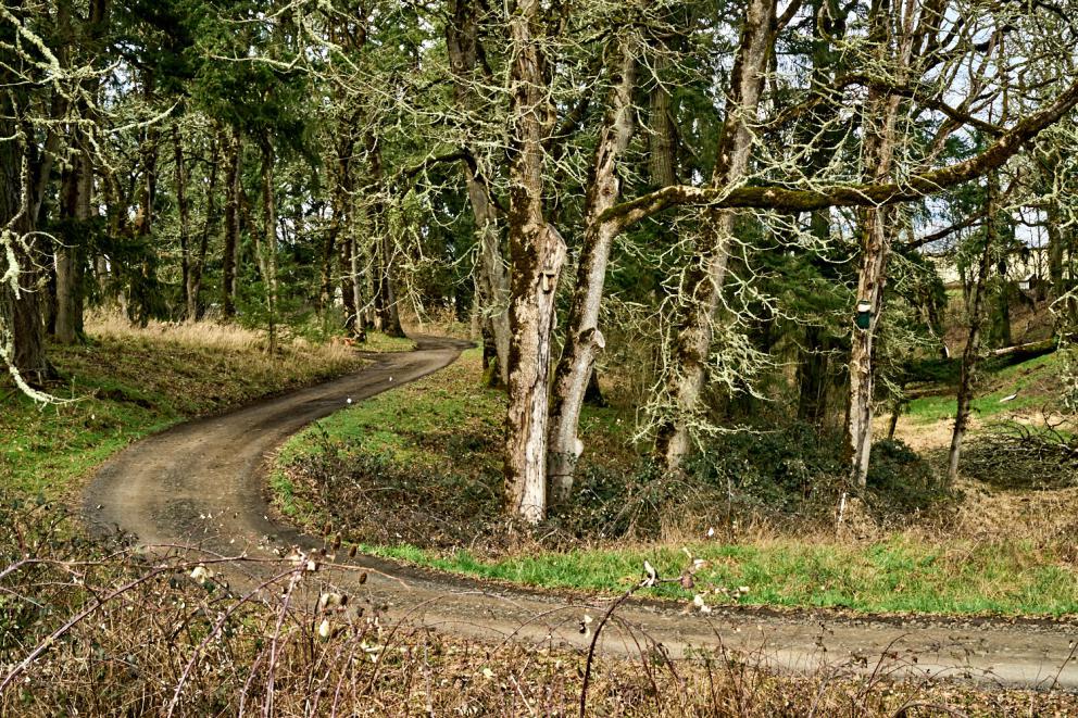 Galleria fotograficaVerso la notte in North Albina Avenue a PortlandIl portico del B&B scelto a Portland
L'ingresso del B&B
Sarah Minnick e Paolo Marchi del salone della villa occupata a Portland
Fresh Pot, il caff&egrave; del mattino nel Mississippi District in Portland
L'altra America, quella che non si chiude in se stessaFranco Pepe e il suo prezioso collaboratore Salvatore Vigliotta nella foto di Luciano Furia
In viaggio verso l'Ayers Creek Farm a Gaston
Il campo difficile da coltivare all'Ayers Creek Farm a Gaston. Per i messicani che vi lavorano, non vi &egrave; nulla da fare: &egrave; un terreno freddo. Di anima
Camminare la campagna nell'Oregon. Da sinistra verso destra si riconoscono Carol e Anthony Boutard, Sarah Minnick, Paolo Marchi, Salvatore Vigliotta e Franco Pepe. Foto di Luciano Furia
Topolino
Sarah Minnick
Anthony Boutard nei suoi campi
Franco Pepe e Sarah Minnick
Internet ha messo in crisi le famose cassette per le lettere americane
Carol Boutard, Sarah Minnick, Paolo Marchi e, ultimo a destra, Anthony Boutard
