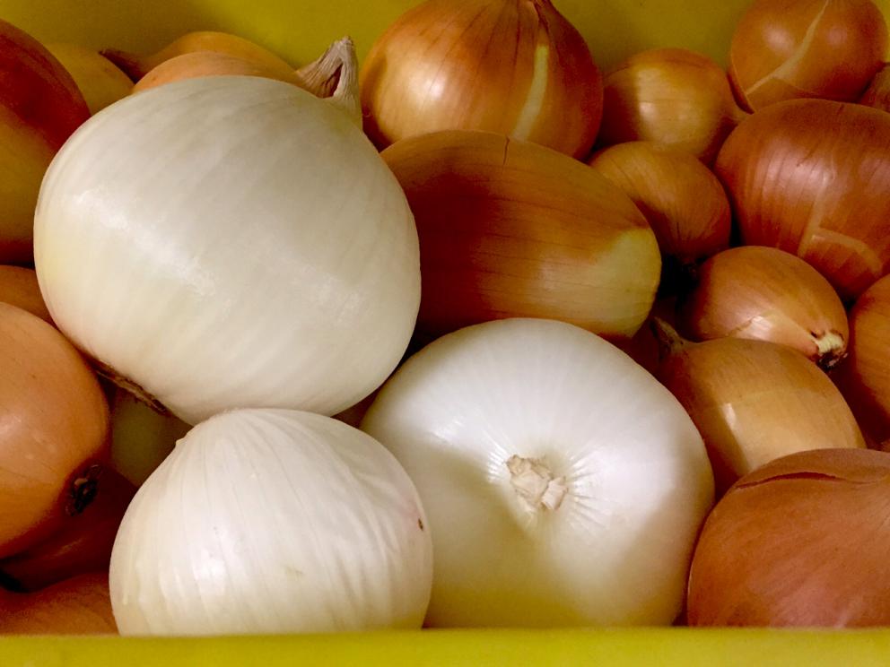 Galleria fotograficaVerso la notte in North Albina Avenue a PortlandIl portico del B&B scelto a Portland
L'ingresso del B&B
Sarah Minnick e Paolo Marchi del salone della villa occupata a Portland
Fresh Pot, il caff&egrave; del mattino nel Mississippi District in Portland
L'altra America, quella che non si chiude in se stessaFranco Pepe e il suo prezioso collaboratore Salvatore Vigliotta nella foto di Luciano Furia
In viaggio verso l'Ayers Creek Farm a Gaston
Il campo difficile da coltivare all'Ayers Creek Farm a Gaston. Per i messicani che vi lavorano, non vi &egrave; nulla da fare: &egrave; un terreno freddo. Di anima
Camminare la campagna nell'Oregon. Da sinistra verso destra si riconoscono Carol e Anthony Boutard, Sarah Minnick, Paolo Marchi, Salvatore Vigliotta e Franco Pepe. Foto di Luciano Furia
Topolino
Sarah Minnick
Anthony Boutard nei suoi campi
Franco Pepe e Sarah Minnick
Internet ha messo in crisi le famose cassette per le lettere americane
Carol Boutard, Sarah Minnick, Paolo Marchi e, ultimo a destra, Anthony Boutard
Sotto una tettoia della Ayers Creek Farm, a Gaston In Oregon, il padrone di casa, Anthony Boutard, ha sistemato due incredibili modelli Citro&euml;n che per davvero hanno fatto la storia dell'automobile: una DS famigliare (a sinistra) e, addirittura, una Traction Avant
Carol Boutard sfoglia il manuale da loro curato sul mais
Le pannocchie di granoturco nero che Anthony Boutard sta selezionado nella sua fattoria partendo da un tipo di mais blu misto a chicchi neri
Una confezione di mais nero e blu. Per arrivare a una produzione 100% nera, dopo ogni raccolto i responsabili dell&rsquo;Ayers Farm Creek commercializzano entrambi i tipi di granoturco mischiati tra loro, ma seminano solo il genere nero
Anthony Boutard, Sarah Minnick e Carol Boutard nella foto di Luciano Furia
Anthony Boutard presenta il men&ugrave; e la Minnick ride contenta
La foto, di Paolo Marchi, &egrave; mossa e andrebbe scartata ma &egrave; la sola che fissa, prima di essere servito agli ospiti, un eccellente piatto a pranzo a casa Boutard: Mais Amish Butter con ostriche, rockfish e granchi
Torta di granoturco nero Peace, No War con salsa di lamponi e crema inglese
Un ritratto particolarmente riuscito di Luciano Furia a Sarah Minnick
Paolo Marchi, Franco Pepe e Salvatore Vigliotta nella foto di Luciano Furia
Lo schizzo fatto da Franco Pepe su un tovagliolino di carta per spiegare alla Minnick come disporre al meglio i pezzi di legna nel forno per la pizza. L&rsquo;alare serve per dare aria alle braci e rendere pi&ugrave; omogeneo il calore
Paolo Marchi prende appunti mentre Sarah Minnick spiega una delle sue pizze
Il post di Sarah Minnick nella sua pagina di Instagram nel quale presenta una delle pizze che preparer&agrave; luned&igrave; 6 marzo a Milano: Spinaci con pomodori sbriciolati, capperi, peperoni e carote fermentati, aglio e formaggio feta
Una coltivazione di funghi, sorta di madre che la Minnick cura personalmente al Lovely's Fifty-Fifty. Bello no di certo, ma perfetto per ottenere ottimi succhi naturali come la kombucha
Sarah Minnick mostra con orgoglio le sue due pi&ugrave; recenti produzioni di kombucha
Franco Pepe cattura con il telefonino l'attenzione di Sarah Minnick e Paolo Marchi. Foto di Luciano Furia
