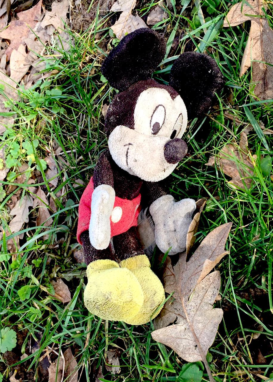 Galleria fotograficaVerso la notte in North Albina Avenue a PortlandIl portico del B&B scelto a Portland
L'ingresso del B&B
Sarah Minnick e Paolo Marchi del salone della villa occupata a Portland
Fresh Pot, il caff&egrave; del mattino nel Mississippi District in Portland
L'altra America, quella che non si chiude in se stessaFranco Pepe e il suo prezioso collaboratore Salvatore Vigliotta nella foto di Luciano Furia
In viaggio verso l'Ayers Creek Farm a Gaston
Il campo difficile da coltivare all'Ayers Creek Farm a Gaston. Per i messicani che vi lavorano, non vi &egrave; nulla da fare: &egrave; un terreno freddo. Di anima
Camminare la campagna nell'Oregon. Da sinistra verso destra si riconoscono Carol e Anthony Boutard, Sarah Minnick, Paolo Marchi, Salvatore Vigliotta e Franco Pepe. Foto di Luciano Furia
