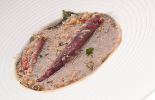 Galleria fotografica






Ricordi di Franco Aliberti dell'Osteria Francescana di Modena: Krapfen alla camomilla con biscotto caramello e caffè. «Morbido come un cuscino da abbracciare», ha spiegato il cuoco








Merluzzo con rafano freddo, mele e cetriolo marinato, un piatto scandinavo estivo di grande freschezza e note leggere firmato da Daniel Berlin, cuoco del Krog i Skåne a Tranås in Svezia








Testa di merluzzo leggermente affumicata con cavolfiore con burro brunito e sale e uova di merluzzo essiccate. Un altro piatto firmato da Daniel Berlin: «Uso la testa del merluzzo perché mi piace la consistenza della polpa umida, morbida e cremosa. Amo cucinare tutte le parti del pesce, branchie e gola compresa»








L'Omaggio alla barbabietola di Lorenzo Cogo, cuoco d'El Coq di Marano Vicentino, Vicenza. «È un piatto che posso servire liberamente», ha spiegato. Ovvero: come superare la rigida divisione delle portate, caratteristica molto italiana








L'interpretazuione dello zucchero filato di Lorenzo Cogo. Una sorpresa che conduce dritti all'infanzia








Crema fredda di formaggio “Idiazabal”, sorbetto di pomodori affumicati, insalata di germogli e pane di segale a firma Sergio Humada, giovane chef dell'Alma di Barcellona.








Confit di Baccalà con salsa pil pil e calçot arrostiti. Tradizione basca e attualità catalana convivono nel piatto di Sergio Humada








Crudo di Palamita, trenette e acciughe di Enrico Panero, giovane talento del ristorante Marin all'interno di Eataly Genova: il ricordo del Giappone in un tipico piatto ligure








Triglia, foie gras e topinambur, altro piatto firmato Enrico Panero: il pesce è racchiuso in due croccanti cialde di “marinara”, una focaccia tipica ligure che cuoce in una teglia e assume le dimensioni di un panettone e il gusto pieno di una focaccia








Gli Gnudi verdi all’olio d’oliva toscano di Stevie Parle del Dock Kitchen di Londra. Un piatto che ha conquistato il cuoco britannico a Londra ma anche in visita a New York





