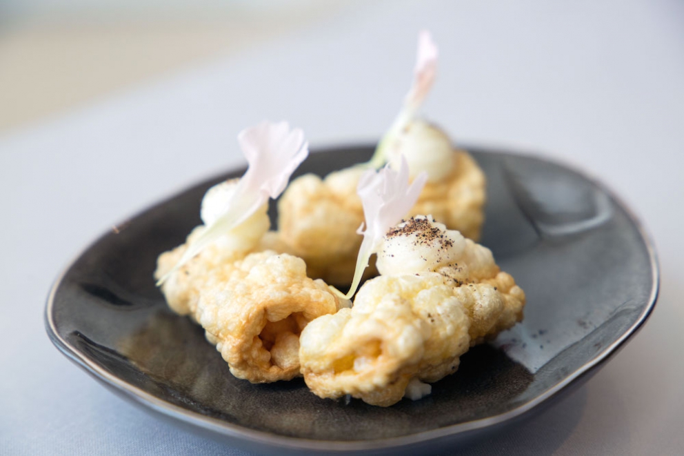 Galleria fotografica






Pomodorino ricostruito






