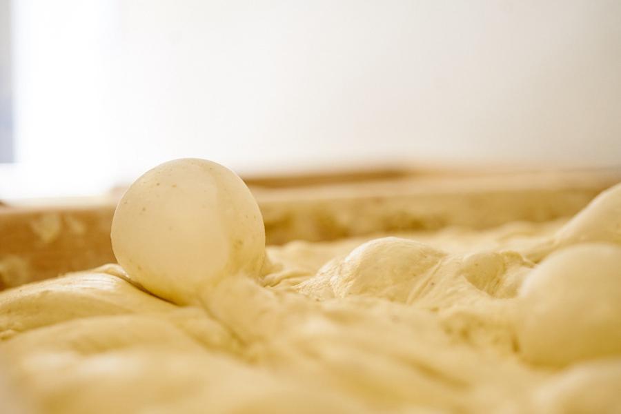 Photogallery









































Franco Pepe with writer and journalist Michael Krikorian. Photo by Luciano Furia



















Michael Krikorian









Sarah Clarke, general manager and beverage director at Osteria Mozza in Los Angeles, with Paolo Marchi. Photo by Luciano Furia









Nancy Silverton and Franco Pepe. Photo by Luciano Furia











