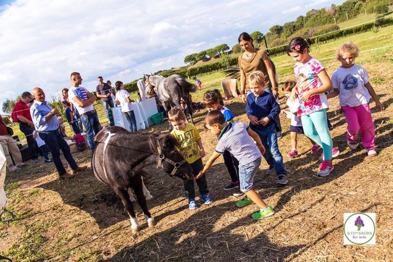Galleria fotografica