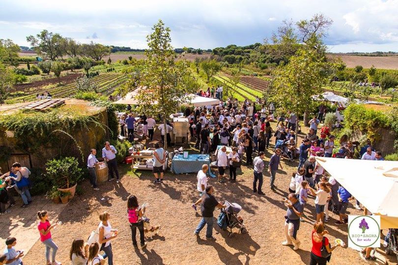 Galleria fotograficaImmagini dalle passate due edizioni della Bio*Sagra for Kids
