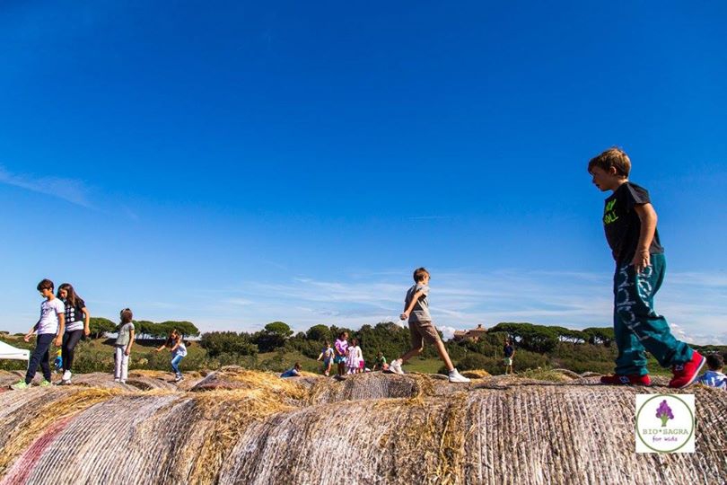 Galleria fotograficaImmagini dalle passate due edizioni della Bio*Sagra for Kids
