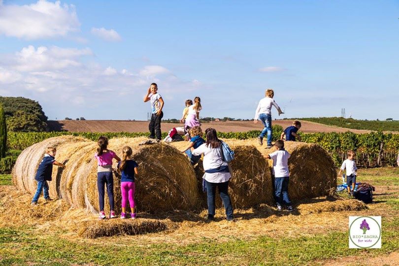 Galleria fotograficaImmagini dalle passate due edizioni della Bio*Sagra for Kids
