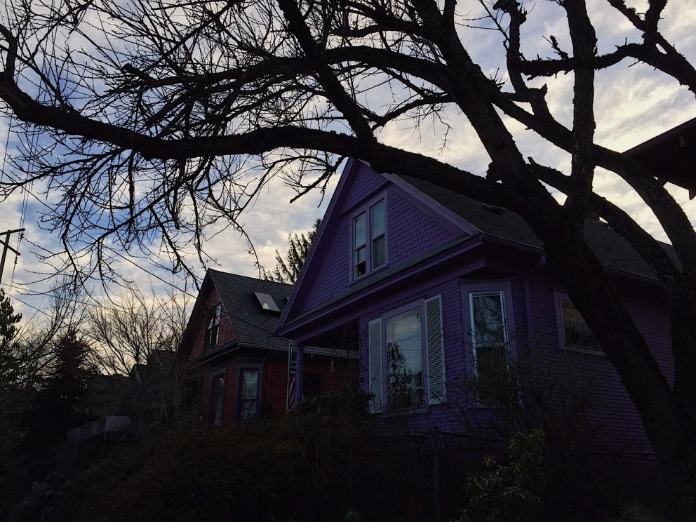 Galleria fotografica