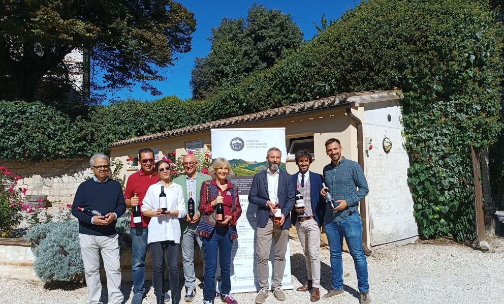 Colli Maceratesi Ribona, Conero e Vernaccia di Serrapetrona: novità in vista