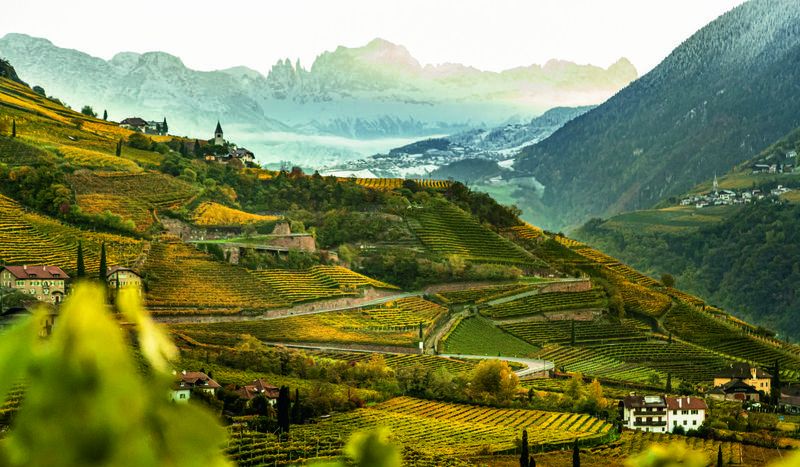 Vino, la forza della diversità: approvata la zonazione dell’Alto Adige