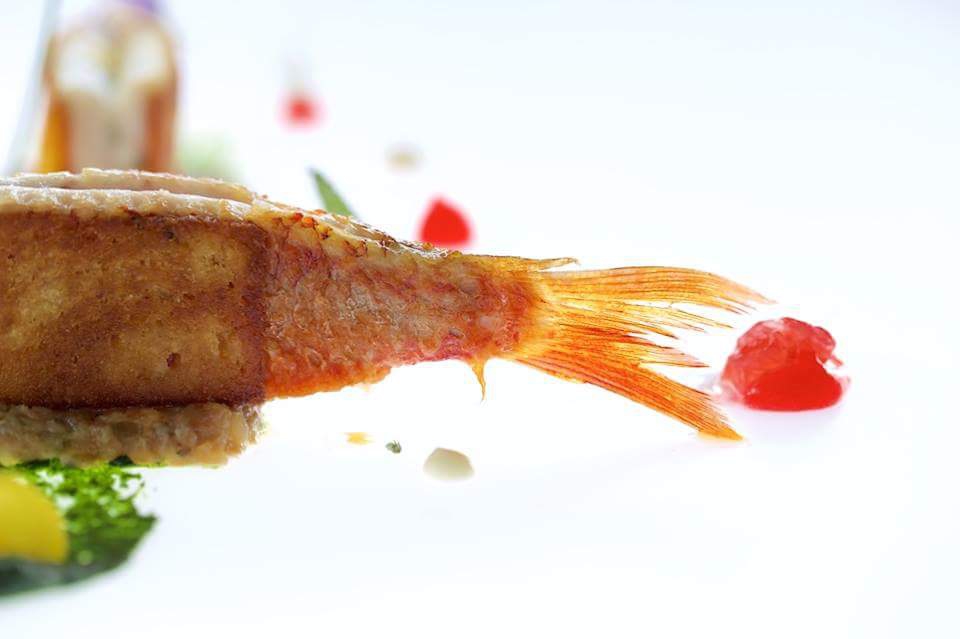 Photogallery






Iside De Cesare, La Parolina, Acquapendente (Viterbo)

Cod, garlic, oil and chilli pepper









Gianfranco Pascucci, Pascucci al Porticciolo, Fiumicino (Rome)

Eel tortelli in a broth of miso and caviar. Lake of Burano, WWF oasis: eel, myrtle and lentiscus. We’re collaborating with the WWF oases to give a "taste" to these places (photo by Andrea Di Lorenzo)









Claudio Petrolo, Claudio Petrolo, Gaeta (Latina)

Sea essence. Raw and cooked elements start an explosion with the flavour of the sea









Marco Bottega, Aminta resort, Genazzano (Rome)

Salmon, green apple and Orient spices. A meeting of sour, bitter, sweet and savoury






