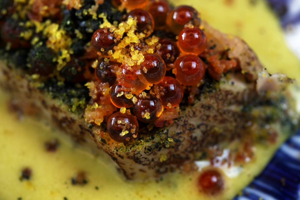 Galleria fotografica






Alcune immagini della straordinaria cena preparata da Jock Zonfrillo al Bulgari di Milano. Qui due appetizer, Gambero rosso e prugne di Davidson e Nuvole di canguro









Cavolo rapa sottaceto e pepe dorrigo, Lilli Pilly e baccusia









Vongole affumicate e pane cotto sui carboni









Patata al forno, fagioli, zucca, uovo ed acetosella






