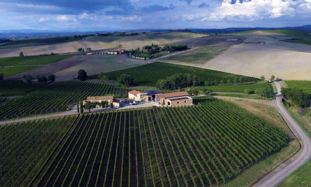 La rinascita di Ridolfi a Montalcino: «Abbiamo ricostruito tutto»