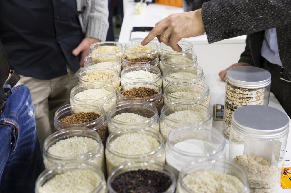 Galleria fotografica






Dispensa

Dispensa – Generi Alimentari & Generi Umani è il magazine italiano indipendente e da collezione dedicato al cibo, creato da Martina Liverani. In Dispensa le storie dei generi alimentari si intersecano a quelle dei generi umani dando vita a originali racconti fatti di parole e immagini. Un progetto controcorrente che in epoca digitale, grazie alla bellezza tattile di un prodotto editoriale antico, invita il lettore a riprendersi il tempo da dedicare alle cose belle. «Non potevamo mancare a questo grande evento, è un’occasione imperdibile non solo a livello di contatti ma anche perché ci offre una full immersion tra le eccellenze della gastronomia»









Italia Squisita 

ItaliaSquisita è il network b2b di riferimento per chi ama la ristorazione e l’accoglienza di alta gamma. Non è voluta mancare all'appuntamento con Identità Milano 2017









James 1599 

Debutto avventuroso nell'alta cucina a Identità Golose del brand James 1599. L'equipaggio, che muove i suoi passi dall'antica Compagnia Inglese delle Indie Orientali, ha portato in scena le sue spezie, i suoi sali dal mondo e le erbe aromatiche. Prodotti di alta qualità, attentamente ricercati e con un packaging all'altezza delle aspettative. Polveri impalpabili, semi aromatici, erbe disidratate, gemme marine e vulcaniche, magnifici pepi e non solo sono stati annusati e assaporati durante il congresso, assieme a golose frolle aromatizzate con la miscela di curry dolce She's My Curry creata ad hoc









Joaquin 

Per la prima volta a Identità Milano, l’azienda vitivinicola irpina Joaquin ha presentato il progetto Joaquin Dall’Isola, che le ha permesso di salvare i pochissimi quintali di uva dell’isola di Capri, prodotti da piccoli vigneti coltivati a varietà Greco, Falanghina, Biancolella, e quella che dai contadini del posto è chiamata “Ciunchesa”. Da Capri, nel 2009, sono state prodotte circa 800 Magnum, mentre nel 2010 sono state realizzate circa 2000 bottiglie. A queste si aggiunge il Vino Rosato 2012, da uve Guarnaccia e Piedirosso, un piccolo gioiello enologico di sole 68 bottiglie









Kai 

Durante tutto il congresso allo spazio espositivo di Coltelleria Kai abbiamo fatto un viaggio in Oriente con sfilettature del pesce con tecnica giapponese, decorazioni con verdure e confezionamenti di sushi e sashimi









Koppert Cress

 Koppert Cress è costantemente alla ricerca di ingredienti naturali innovativi, che permettano agli chef di aumentare il gusto e l’aroma dei loro piatti e di migliorarne la presentazione. «Siamo produttori di colori e gli chef sono i nostri pittori» ci ha spiegato Enrico Zallot. Una vasta rete internazionale di biologi, di esperti nel settore dei vegetali e di gastronomi fornisce un flusso continuo di prodotti, che soddisfa i requisiti culinari sempre più elevati di ristoranti sparsi ovunque nel mondo









Longino & Cardenal

Longino & Cardenal continua il percorso alla base del suo successo: la costante ricerca di cibi rari e preziosi. E' stato accompagnato da due nuovi partner: Pariani, un’azienda piemontese nata come produttrice di Olio di Nocciola, e Tartuflanghe, insignita da anni del titolo “Eccellenza Artigiana” dalla Regione Piemonte. Lo stand ha visto la presenza dello chef basco Senèn González che ha deliziato i visitatori proponendo le innovative lamine di patata disidratata e bacon ripiene di tuorlo d’uovo. All’interno della Longino Vip Lounge, chef e visitatori della manifestazione hanno potuto apprezzare alcuni finger food realizzati dalle giovani e sapienti mani del company chef aziendale, rigorosamente con prodotti commercializzati da Longino & Cardenal. Anche Andrea Larossa, chef del ristorante Larossa ad Alba, ha presentato una versione finger dei suoi piatti a base di prodotti Tartuflanghe. E ancora: plancton marino Veta La Palma; pane Triticum che ha nobilitato il pane precotto e surgelato; i fiori e le erbe eduli dell’azienda alto-atesina Alpin Herbs; il tonno rosso del mediterraneo Balfegò, il baccalà dissalato Giraldo e, non da ultimo, il gambero rosso di Mazara del Vallo di Don Gambero









Macelleria Zivieri e Zivieri Tartufi

In linea con il tema del congresso, Macelleria Zivieri Massimo e Zivieri Tartufi hanno animato il proprio stand con il meglio della loro produzione. Battute al coltello di bovino e cervo affiancate dal tartufo nero pregiato, toast con prosciutto cotto di Mora Romagnola, crostini con patè fegato di pollo allevato a terra e funghi galletti, degustazioni di salame Montanaro di Mora Romagnola recentemente nominato il miglior salame in Italia, tagliata di capriolo e mini hamburger di selvaggina con tartufo bianchetto. Valore delle aziende protagoniste è l'attenzione verso prodotti naturali, a completa disposizione di una ristorazione attenta e scrupolosa, secondo filiere di produzione uniche in Italia









Manicardi 

Manicardi ha portato a Identità Milano due eccellenze enogastronomiche dell’Emilia Romagna: Lambrusco e Aceto Balsamico di Modena. In degustazione: Lambrusco Grasparossa di Castelvetro DOC “Vigna Cà del Fiore”, Spumante Brut Rosè “Fabula”, Aceto Balsamico Tradizionale di Modena DOP Extra Vecchio, Aceto Balsamico di Modena IGP “Nero Elisir”, Aceto Balsamico di Modena IGP “Nero Elisir Gold” e Aceto Balsamico di Modena IGP “5 Scudi”.









Masseria Schinosa

Nella Masseria Schinosa da oltre trecento anni si fa olio extravergine di oliva con amore per la terra e per gli oltre 28.000 secolari olivi pugliesi. Gli oliveti sono condotti con le più moderne tecniche colturali e nella produzione del loro olio extra vergine di oliva si incontrano e si fondono tradizione e innovazione









Mealitaly

Mealitaly e Tesoritalia nascono per promuovere e tutelare le eccellenze tipiche del territorio italiano grazie all’alta qualità della produzione stessa. Lavorando in aree DOP e IGP, come il Parco Nazionale del Vesuvio, la Penisola Sorrentina, le Colline Salernitane e il Cilento, per ciascuna referenza è stato redatto un "disciplinare di produzione interno", elevando gli standard qualitativi a livelli altissimi sia sul mercato italiano che estero. Ogni prodotto è controllato in ogni sua fase di produzione e lavorazione, partendo dalla coltivazione diretta delle materie prime sino al packaging finale









Mepra

Mepra nasce nel 1946 dalla trasformazione dell’azienda della famiglia Prandelli che, a cavallo delle due guerre, produce materiale bellico. L’indirizzo scelto dall’azienda per la propria produzione, privilegia la qualità e non la quantità: l’alluminio, utilizzato fino ad allora, viene immediatamente sostituito dall’ottone cromato, materiale di qualità superiore. Mepra continua a produrre tutti i suoi articoli in Italia, ed è presente oggi negli ambienti più esclusivi e rinomati del mondo, dagli hotel di lusso alle compagnie di crociera e aeree









Mielizia

Nel corso delle tre giornate Mielizia ha effettuato presso il proprio spazio espositivo a Identità Milano degustazioni dei loro mieli italiani millefiori e monoflora e altri prodotti apistici, anche in accompagnamento a formaggi, per conoscere meglio i prodotti della gamma e far apprezzare la varietà del miele italiano, suggerendo insoliti abbinamenti gastronomici









Niko Formazione

Un percorso di formazione unico in Italia, dalla partnership con l'Università degli Studi di Scienze Gastronomiche di Pollenzo alla full immersion in Casadonna Reale, al progetto Spazio, ristorante-laboratorio dove convertire la pratica didattica in lavoro nell'ottica della ricerca









Olitalia

Olitalia a Identità Milano ha presentato le sue eccellenze della linea Gourmet: gli Extravergini Regionali, le Monocultivar, l’Aceto Balsamico di Modena, e Frienn, l’innovativo olio di girasole altoleico per una frittura sana e leggera. L’azienda è specializzata da più di 30 anni nella produzione di oli e aceti ed è presente in oltre 120 paesi nel mondo









Open Blue Global Services

Nello spazio espositivo di Open Blue Global Services abbiamo degustato pesce cobia in tre ricette dello chef Omar Allievi: Cobia affumicato con mele, melanzane, crunchy di pane alla segale e robiola allo yuzu, Cobia marinato al miso con salsa di arance e cicoria e Tiradito di cobia con choclo e camote. Inoltre con Samsung Oculus, un’esperienza di realtà virtuale a 360 gradi, tutti i visitatori hanno potuto immergersi in un viaggio di due minuti e mezzo nell’impianto aziendale a Panama, una vista in elicottero a 12 km dalla costa per visitare le gabbie e scoprire come viene allevato il pesce cobia









Pastificio dei Campi

Per Pastificio dei Campi due chef hanno preparato una ricetta da offrire ai visitatori presso lo spazio espositivo dell’azienda: Christoph Bob del ristorante Refettorio Monastero Santa Rosa ha proposto Pasta dei Campi con peperoni, Mezzi occhi di lupo alla genovese con ali di razza e carciofi di Schito; Andrea Napolitano del ristorante Il Bikini di Vico Equense un Mischiato delicato con polipetti alla luciana, patate affumicate e spaghetti di mare









Pedrazzoli Salumificio

Pedrazzoli, salumificio mantovano nato nel 1950, oggi leader nella produzione di salumi bio, ha esordito a Identità Milano presentando la sua linea di salumi gourmet extra-selezionati Q+. Dedicata a chi ricerca l’eccellenza, Q+ è una collezione di prodotti esclusivi a produzione limitata e si caratterizza per l’estrema artigianalità che si ricollega a un’atavica tradizione norcina valorizzata da un packaging moderno ed essenziale. Si tratta di salumi numerati che consentono di tracciare tutto il ciclo di vita del prodotto. Un omaggio sensoriale e un gusto inconfondibile che nasce dalla ricerca della massima qualità del prodotto e del sapore più genuino









Piccolo Brite

Durante le tre giornate abbiamo potuto assaggiare gli speciali prodotti che provengono dal caseificio Piccolo Brite: formaggio di alpeggio e latteria, formaggio di malga e speck, prodotti che conservano intatto tutto il sapore delle Alpi, affinati, secondo un procedimento naturale, nei locali del caseificio affacciato su Cortina nella frazione di Alverà. Presente allo stand anche il mastro casaro che ha spiegato i vari procedimenti della fase di produzione









PRI.MA

PRI.MA. (fusione delle parole "prima" e “materia"), è una start-up nata in Puglia nel 2015 su iniziativa di un pastry chef e di un imprenditore del settore erboristico-salutistico. Dall'incontro di queste due esperienze prendono vita le 31 essenze della linea PRI.MA., risultato di un innovativo processo di estrazione dagli oli essenziali di frutti, fiori, spezie e piante officinali. Pepe, lime, cannella, zenzero sono solo alcune delle loro essenze con cui sperimentare in cucina. Tre le parole chiave di questa nuova linea: innovazione, riferita alla tecnica estrattiva, continua e circolatoria, per perfetti distillati di gusto; benessere, perché PRI.MA. contiene solo le virtù naturali degli alimenti; e qualità delle preparazioni, grazie all'alta volatilità della profumazione dei suoi oli essenziali e alla loro contemporanea stabilità in cottura che lascia intatti gusto e salubrità






