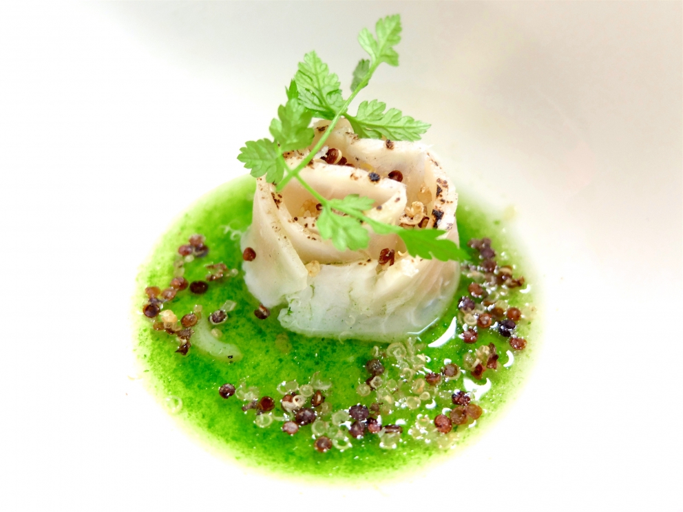 Galleria fotografica



