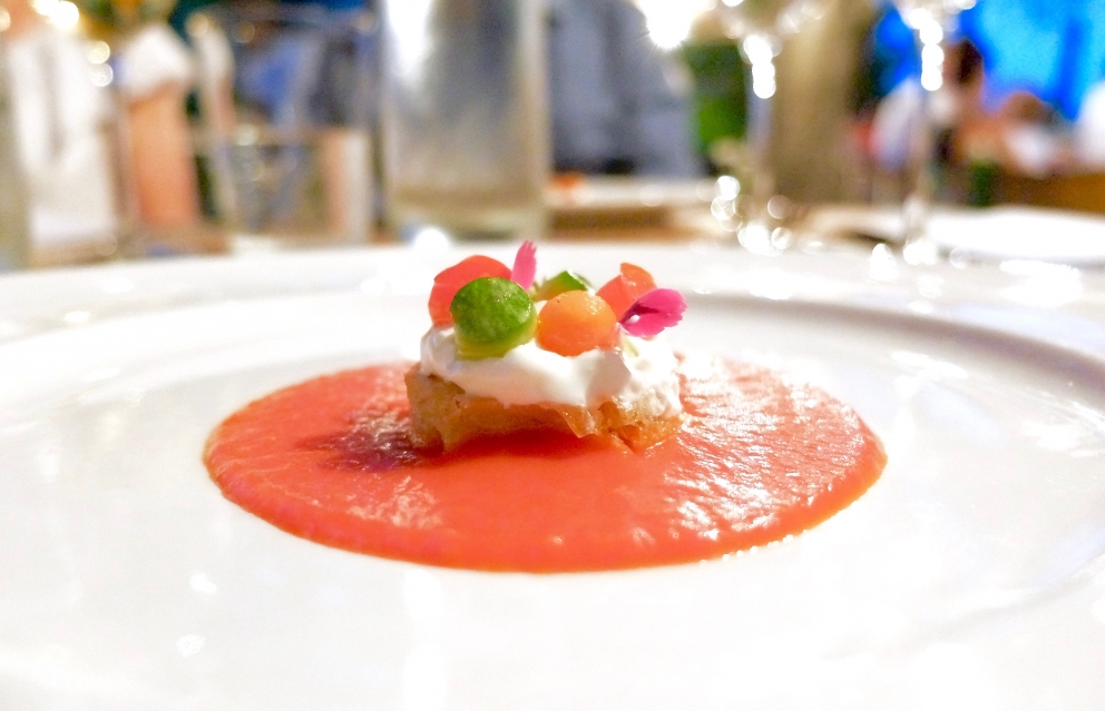 Galleria fotografica



