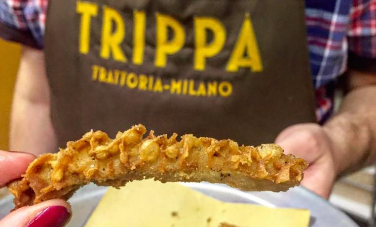 Galleria fotografica



