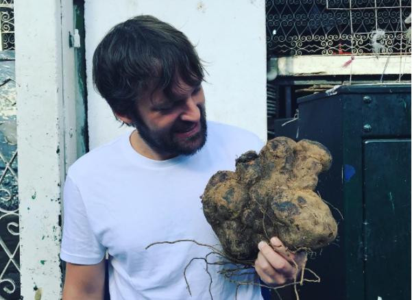 Photogallery






The traditional welcome at Noma: the chefs from the service kitchen greet the guests. In the middle, Italian Riccardo Canella, who will help us describing the last menu in detail (photo gallery by Luca Iaccarino and Gabriele Zanatta)









Warm broth of cloudberries. It’s the last welcome dish at Noma. It’s cold outside but as soon as you sit inside, you get warm thanks to this hot broth made with cloudberries enriched with rhubarb root oil. You dip a bouquet of hay, lemon thyme and mountain pine. Corroborating









Riccardo Canella brings a preview of what will follow









It’s a dish with seafood, including a huge (and alive) king crab, sea urchins and oysters









Apple of the season









Apple of the season. Once you open the shell, many small apple parisienne appear in a juice made with centrifuged, clarified apple scraps, seasoned with verbena and thyme. There’s also a purée of apples fermented in broth. The dish is finished with oxalis flowers, tagete and oil of blackcurrant wood, made by beating the blackcurrant branches with a hammer, so as to extract their essential oils. A very pleasant dish despite its complex idea.

"The first time I saw it ", added Canella, "I was struck because it reminded me of the stuffed apples they used to make at restaurant Bulesca in Selvazzano, Padua, in the early Eighties. Except in that case it was filled with rolls made with granny smith apple and prosciutto from Montagnana" 









Fresh sliced scallop. It’s a scallop taken from the fish tank and shelled a few moments before serving it. It is then sliced, brushed with a reduction of vegetable whipped butter with cucumber centrifuge juice, then reduced, and piso broth (that is to say miso with dehydrated peas).

The technique is the same used for the broth ice-clarification made famous in the Nineties by Heston Blumenthal at Fat Duck: you freeze the broth then hang a table cloth so as to obtain the “pure” part of the liquid. A trick that adds the same satisfying sensation of a meat jus to a vegetable broth. The scallop is finally dipped into a classic mussel broth. An incredible mouthful of seafood and umami









A Winter Platter. Hidden among the leaves, are four edible tastings









He sums up in just one dish 4 snacks that he might would have served separately a few years back. A fun and tasty idea. In detail:

At 6 o’clock: Pear pressed in fermented red gooseberry with fully ripe common sea buckthorn. It’s a rather tart ensemble made sweeter by piso (again miso made with dried peas) seasoned with coriander seeds (supplied by Redzepi’s historic supplier Soren Wiuff). The external thinner leaf is a peel made with chicken broth and beech leaves preserved in vinegar.

10 o'clock: crispy black currant leaf-shaped sandwich, seasoned with yogurt, kombucha, elderberry flowers and red oxalis 

12 o'clock: malt branch with nasturtium leaves, creme fraiche, salt aromatised with pine and ants

4 o'clock: black garlic leaf with salt aromatised with kelp, a Japanese seaweed 









A detail of the malt branch, with well visible ants. At Noma, the study of the aromatic contribution given by formic acid to dishes continues. And even the service acquires elegance: in the past you might have seen ants floating in a few dishes. This is no longer the case









A Tupperware from the "ant library", on the first floor at Strangade









Radish pie. It’s an emblem of the latest menus at Noma. It’s been in the menu for almost a year. In the crunchy disc on the bottom there’s kelp seaweed and a vegetable reduction made with coriander pesto. The radish roses (22, no more, no less) were pressed in beetroot juice. Another formidable tasting









Interns roll the radish roses together, on the top floor at Noma. Loud music and teamwork help making the job less alienating









Natural fermented bread of Øland wheat and hulless barley.  Øland wheat is Danish, with 83% hydration. “Nerd” bread maker Rasmus Kristensen is obsessed with it: even though it could last a week, he bakes it fresh every day for the two services (see the interview on Vice). It has a crispy yet soft crust, and it’s a great progress compared to the early bread making at the restaurant.

The salted butter is instead Norwegian Røros, according to some “the best butter in the world”. One of the most extraordinary pairings ever tasted. We asked for an encore









Cooked oyster and broccoli stems. The oyster is blanched for two minutes and placed on a shell with the edges powdered with salicornia. Between the broccoli and the oyster there are some diced stalks of sorrel. There’s a reduction with kelp seaweed, whisked with butter, thyme and “capers” made with white currants [they’re not real capers but the currants are preserved for a year in 2% salt, like capers). The sauce for the oyster is made with white gooseberries. An artwork, but less convincing than the other tastings









Sea urchin and cabbage. It’s a cabbage leaf pressed with hazelnut oil, filled with sea urchin roe and seasoned with pine vinegar, water from fermented porcini and pickled chanterelle mushrooms. On top, there’s parsley pesto and salt aromatised with pine. It’s a dish that changes greatly according to the season: compared to September, the leaves are now smaller and woodier. Two extraordinary mouthfuls, the result of a rather simple intuition









Sea urchin and cabbage, a detail. Northern sea urchins are creamier than Italian ones. A blast









Langoustine, onion and lavender. The langoustine is the precious one from the Far Oer Islands. The onion is Danish and grilled, steamed in a vacuum bag with Koji oil (blended rapeseed oil with fermented oil) and then grilled again, only slightly, so as to get a golden nuance. The langoustine is instead cooked in its shell, seared in butter at 60°C for 2 minutes, then peeled, cut and served. Rose oil, vinegar made with lovage sprouts and dried lavender complete the picture. The dish is focused on the sweetness given by the onion, which has a similar texture to the langoustine. Very nice









Butternut squash, barley and caviar. The butternut squash is confit in oil aromatised with seaweeds later roasted and placed on top. It is completed with beechnuts, a sauce made with fermented barley and butter and a handful of Finnish caviar. A sweet interlude









Claws and heads of a langoustine from the Far Oer Islands, cut in two. The heads of the langoustine are braised with a paste made with the entrails of the langoustine and a reduction of yeast and thyme and lemon on top. A very pleasing neo-primitive tasting with a strong dose of umami









Steamed king crab and egg yolk sauce. A new take on a classic Japanese dish, learnt in Tokyo and applied in Australia to a snow crab. Global nomadism made Redzepi’s cuisine rounder, less extreme than in the past









In this case, the king crab is steamed and seasoned with smoked salt. The sauce is made with egg yolks marinated in beef garum, a trick that gives a significant sour component to the recipe. Finally, there’s a seasoning made of butter and piso. An interesting depth









Charred greens with a scallop paste. There are plenty of seasonal herbs and vegetables, in this case cabbage, black cabbage, sage, verbena, nettle and the first sprouts of wild garlic. The caramel is made with a purée of fresh scallop, rolled out for 48 hours on a silpat. Once dehydrated, it becomes dark orange. They then blend it, powder it, mix it with bees’ wax and rapeseed oil. Finally they cover the caramel with horseradish juice. Another interlocutory tasting, fun and very much appreciated thanks to the crispiness and the bitter-sweet herbs. Trivia fact: the dish is served with a steak knife. That is to say: herb is the new meat









Roasted Bone Marrow. It’s not the first time they serve grilled bone marrow at Noma, legitimised in fine dining by English Fergus Henderson. What’s new is the way in which they have been serving it in Copenhagen for around one month now: the bone marrow is surrounded by many small plates and garnishes, so guests can enrich it to their liking. A similar idea to what Paolo Lopriore does every day at Portico in Appiano Gentile

 














Among the garnishes that can enrich the bone marrow are pickles, wild mushrooms with beef garum paste, wild herb paste, fresh garlic, leek flower sprouts preserved in salt and salt aromatised with roasted seaweed









Other complements for the bone marrow: to the right, chicken "skin" made with dehydrated jus ("the skin is the best part of a chicken", once Redzepi demonstrated in Belgium) and next to it a vegetal reduction with black garlic









The slices of truffle from Gotland (Sweden) paired with bone marrow are not as strong as those we’re used to. This is why at Noma they add oil aromatised with porcini, aged Danish whiskey and a garum made with Dryad's seddle mushrooms, with a delicate pineapple scent









A dessert of potatoes and plums. Another great emblem of the most recent offer at Noma. Three creams stand out on a sauce of juice and plum aquavit: right to left, a compote of plums (dehydrated in the oven so as to concentrate their aroma), a purée of sweet Danish potatoes and a cream seasoned with plum nuts, which surprisingly recall almonds









Black currant wood ice cream and roasted konini. Also known as "No-Magnum", Noma’s Magnum, unites konini [an ancient Swedish wheat] roasted like coffee, oxalis, a reduction of quince syrup and a few leaves of verbena. Every day the guys sharpen some 200 branches of black currants









Moss cooked in white chocolate. It’s the sweet version of the famous Moss and Cep, a “savoury” dish from the early days. It’s fried musk covered in white chocolate. Next to it, a disc covered in chocolate with powdered liquorice on top (even Redzepi had to surrender to the exotic deliciousness of cocoa)









A note on the beverages: after a welcome glass of champagne (André Belfort Brut 2008, curiously the same tasted the previous night at Christian Puglisi’s Relae), we chose to continue with the juice menu, 6 glasses of variably good organic juices for 700 Danish crowns each (around 95 euros)









There’s a person in the staff at Noma who’s dedicated entirely to the juice menu. The first juice served was apple/pine. Each glass stays on the table for around 3 courses on average. Food and juice pairings are partly designed, partly casual









The apple/pine juice is followed by glasses of green gooseberies/tarragon, rose/redcurrant, red gooseberries/geranium, cabbage/lovage and, in the picture, the eldelflower/spearmint juice paired with the dessert. The drops you can see are made of oil from the black currant leaves









The final bill for 4 people: 11880 Danish crowns, that is to say around 1,600 euro. Per person this means: 2000 Danish crowns (around 270 euros) for the tasting menu, plus 700 crowns (94 euros) for the juice menu, plus 175 (23 euros) for a glass of champagne, plus 50 (6.50 euros) for four jugs of water (in fact they only served one) and 45 (7 euros) for a superb Koppiane espresso. Add to the total 2.13% extra for commissions on foreign credit cards, which makes a total per person of 420 euros









The back of Noma 1.0 is full of grills, Josper ovens, storage rooms for miso, fermented products, garum... The current location will not close. They’ll probably serve a simpler offer here, with craft beer taking on the main role









Next to the old location, there will still be the Nordic cuisine bistro 108 founded by Noma’s alumnus chef Kristian Baumann. It gained a Michelin star a few days ago









At the end of the meal at Noma, they give you a map of Copenhagen with dozens and dozens of delicious destinations. A great example of courtesy






