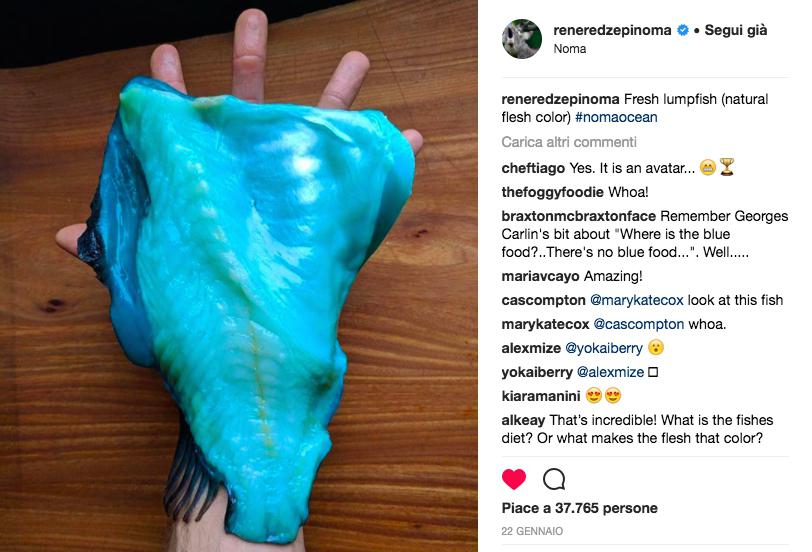 Photogallery






Noma 2.0 is in Christianshavn, the same neighbourhood as the first Noma. They’re 1.5 km apart, a 15 minutes’ walk. This picture shows the distance: to the right, there’s the warehouse of the old location (in Strandgade 93), to the left the smokestacks of Amager Bakke, the futuristic incinerator below which stands the new Noma (in Refshalevej 96)









Weather permitting, you can have a peaceful walk between the previous Noma to today’s Noma 









The new Noma is on an isthmus surrounded by canals. In the future they also want to reclaim some small parts for hydroponic farming









Bucolic scene with incinerator









Bikes left outside Noma. It’s the favourite means of transport among employees and interns









The long path taking you to the restaurant. The fence on the left shows how works are still in progress









On the two sides of the path there are the two new sections of the "Noma village", each with its specialty: grill, hot dishes, snacks, fermentations... In one month’s time, behind the fence we’ll have greenhouses, the test kitchen and the bread making area









To the left, before arriving at the restaurant, the future test kitchen. This will be run by Danish Mette Søberg with Riccardo Canella. "My first challenge?", reveals the latter, for a long time sous chef here, "is to work on the extraction of essential oils" 









The future Test Kitchen









The temporary gangway to the restaurant









Looking from the door to the restaurant, there’s a lake and the smokestacks puffing vapour from the Amager Bakke incinerator. It’s a futuristic project, both in terms of sustainability and architecture. It’s also known as Amager Slope or Copenhill, and its author is starchitect Bjarke Ingels, the same who designed the new Noma. Gradually opened in 2017, it transforms waste into electricity. The goal is to donate electricity to 62500 houses and hot water to 160000. It’s part of an ambitious project to transform Copenhagen into the first city in the world in terms of zero carbon dioxide emissions by 2025. By autumn this year, Amager Slope should open its ski slope, a climbing wall and a hiking track. You’ll be able to slalom on top of the incinerator









The windows from the dining room









Work is still in progress (photo taken on Thursday 22nd February 2018)









Traces of the old building, with barbwire. During WWII, they built bombs here









A view of the dining room at night (photo from Instagram/James Spreadbury)









The entrance to the restaurant









The usual ritual: a welcome from the entire staff, led by Rene Redzepi 









Behind the entrance, there are formaldehyde tanks with creatures from the abyss, shaped as in Damien Hirst’s works. The first image once you’re inside is to reproduce a Scandinavian village









The service kitchen is larger, more spacious and a completely open view from the dining room: "It’s the heart of our Scandinavian village", says Canella. There are 30 cooks working here now. 10 more, compared to the previous Noma









Large skylights above the cooks









There are currently more than 100 people working at Noma, of whom 63 are cooks - 26 employed, and 37 as interns









There’s fire in the kitchen, for the first time









On average, the dining room can host 40 people. "However", complains Redzepi, "there’s always someone who turns up with more people than the ones booked"









While the dining room is set, the outside space still need to be defined









The staff made the dining room decorations. There are no overly expensive designer objects









Dried fish









Seaweeds hanging from the ceiling









Dried octopus heads preserved in salt (with a balloon inside)














Bjarke Ingels and Redzepi’s plan included the wish to recreate a Danish farm









The luminous private dining room









The counter in the dining room. They drew the beams from the canals around the restaurant














The mise en place, bare and strictly without tablecloths









Water jug, candle, flower vase









A warm cloth, to begin with









Australian James Spreadbury, restaurant manager and partner at Noma









Welcome drink: Champagne extra brut Blanc d'Argile from Domaine Vouette et Sorbée









Sea Snail broth. The welcome dish at Noma is, as usual, a hot “soup”









Stefano Ferrano, from Torino, presents the following dish. There’s always a large Italian colony at Noma









Venus clams. Molluscs from Limfjord (Denmark) mixed with decorative clams, typical of Noma. Beside them, shells with blackcurrant oil and “Danish curry”, made with toasted coriander seeds, fennel and fennel seeds









The lid above the following dish. The mussels are not edible









Best of the mussel. Mussels open in a pan with water of fermented barley. «We recreate the mussel», says Canella, «using just the flaps, the best part». The paste is made with scraps from the mussel, cooked in smoked butter









The next dish is conceived and served by Riccardo Canella, the Paduan sous chef who conquered Redzepi, here with dining room intern Feline Hansen









Dried fruits and shrimps. In this case, the heads are not a decoration, but you must suck them –best not eat them because of the bones: they’re filled with a lovely prawn cream. The small crustaceans are still alive when they arrive on a ship straight from the Norwegian fjords









Inside, under the prawn broth skin, there’s fruits and vegetable preserved from the previous summer with raw prawns and gooseberry sauce with blackcurrant oil









How about beverages? There are three options, as usual: wine pairing (6 glasses plus a beer plus sake, 150 euros), juice pairing (juices and extracts, 110 euros) or a choice from the list. They recommend Champagne Chut... Libre from Val'Frison pour Dominique Derain, 50% Pinot Noir, 50% Chardonnay created by a couple who met at the old Noma. Well bodied, it will be a good match throughout the meal









As usual, the wine list starts with Champagne: the cheapest is 1400 crowns (190 euros)









White wines begin with labels from cold climates: first Austria, increasingly popular for its natural wines, then Germany, then all the others









How about Italy? Few names, among the white wines, from North and South









A dozen red/orange wines









Sea star, that is to say Cured trout roe and eggs, the emblem dish of this new era. They recommend moving the teaspoon from the heart to the edges of the tentacles. Aesthetics win over taste









Jellyfish. The jellyfish gel in the middle is in fact a clarified broth of calamari and recalls the texture of jellyfish. "We tried to cook jellyfish in 300 different ways but none was convincing so far". All around, pickled seaweed. The gel is almost tasteless, it serves to clean the palate after the pickles









Rene Redzepi himself presents the content of the first Seafood platter.









French style service with a small plate below for the empty shells









It’s made of two (per two) pieces: queen clam and mahogany clam









The Queen Clam is a very small variety of Norwegian scallop, seasoned with a vegetal reduction made with cucumber and peas miso. The red tip is the coral. "You should eat it using the top shell ", recommends Redzepi









The Mahogany clam is a centennial clam from the North Sea, very popular in Denmark and Iceland. «You can tell the age by the number of rings, like with trees», says Redzepi, «In 2007 they found one that was 450 years old. We’ve had it in the menu for a decade or so». The razor clam shell serves as teaspoon









Inside, there’s obviously not just a bare Mahogany. «We open it when the client arrives», says Canella, «remove the entrails and then slice it so as to preserve its firm texture». It’s seasoned with stir-fried gooseberry, capers of blackcurrants and blackcurrant sprouts preserved in vinegar. The sauce is made with mussel water









A note on the chairs: they’re more minimalistic. They’re no longer covered in sheepskin or leather from other Danish animals, in the style of Noma 1.0. The most significant element is the napkin: if you go to the toilet, they no longer replace it with a new one. There’s the old one, tied to the chair. "This is sustainability", they explain









The second seafood platter. It’s made of Sea cucumber and sour cream in various textures, including «chicharrones» (at 9 o’clock), sea urchins (at 12 and 3) and gigas oyster (at 6)









Sea urchins pressed in fresh cream and pumpkin seeds









Giga Oyster, a huge oyster from the Pacific, quickly steamed and garnished with pickles. Noma only reserved one thousand of these. In the menu until available









The following dish, off the menu, is again from Canella: horse mussel ragout, rare specimen of which 30 arrive at 'Noma each week









They cook the mussel as if it were kidney, in a sort of Bolognese sauce but with ginger. Ginger? "Yes, we’ve decided to include it, as with other spices, after our Mexican experience"









Another Italian presents a dish, Edoardo Fiaschi from Prato, at Noma for 3 years now









Squid in seaweed butter. An almost neglected Danish squid lightly seared in fermented koji oil, rolled and seasoned with seaweed butter and served on sticks of blackcurrant that widen its aromas. Formidable and beautiful









The following dish is inside a nice bee wax container. It’s made with balloons covered multiple times in bee wax. «We spent weeks making them. We’ve made thousands». They’re disposable...









Sea snail and roses. They recommend to: "Eat it keeping the bee wax on your hands "









Sea snail. Another small nibble from the top part of the sea snail, lightly warmed up in water and served on a reduction of lemon thyme









A sea snail toothpick, initially carved by Redzepi himself









Head of the cod, (right), the real main course at Noma









Another rather laborious recipe. «It takes half an hour just to separate the head. We remove the skin, the collagen, we cut mandibles, tongue, cheek and the part behind. We rinse it in water, spices, koji and cook it in the yakitori with a glaze of mushrooms and spiced fennel broth»









You can garnish the cod as you choose, with a paste of ants (top right corner), a slightly spicy emulsion of koji oil, water and horseradish sauce (left) and Danish curry (bottom)









On the side of the cod, there’s also wild garlic seasoned with smoked butter and roasted yeast. Intense flavour









Cod bones after the tasting









An interlocutory snack made of cod cheek









Pickled vegetables and arctic herbs. The only vegetable dish in the menu, marks the passage from savoury to sweet dishes. Between June and August 2018 the menu at Noma will be 100% vegetarian









Preparation time: half an hour! A challenge for the person making it









Mussels appear once again, a classic emblem









This time it’s a dessert in the shape of a small sandwich. Pear and roasted kelp ice cream 









Cloudberries and pinecones. A dessert that continues Redzepi’s saga of unsweet sweets: cloudberries, pinecones preserved in sugar, yogurt snow (by Italian Jessica Natali) and a sea snail made with cloudberry sorbet









Filtered coffee made with stolen kenyoti seeds farmed in Honduras by a Norwegian guy. Italian sommelier Francesca Niro tells us this story. «In Denmark», she says, «coffee is not a final act»









Sugar kelp tart. Tartelletta di alga kelp con pralinato di pino (sul modello di quello di mandorle, autore Canella), panna e crisp di ostrica









Sugar kelp tart. Jessica Natali, 23, from the March, has been at Noma for 4 years now









Natali introduces the last dish, Plankton cake









It’s Redzepi’s tribute to Andalusian chef Angel Leon, the chef who brought the abyss of the sea on fine dining tables. A final trivia fact at the end of the meal: we were never served bread, a historic strongpoint at Noma. "There’s no need for bread in this menu", said Redzepi









With Canella we walk the very long corridor that starts from the opposite side of the room, right after the entrance









It’s the rationalised and enlarged equivalent of the previous Noma’s first floor. Dozens of guys are making the pre-preparations









Canella with Ali Sonko, Noma’s famous kitchen hand from Gambia who then became partner









Sea cucumbers and huge Artic crabs swim in the water tanks














Ants on a shrimp, the emblem of Noma’s pop-up in Tokyo














The new equipment includes a sonicator for emulsions, a Rotovapor, essential oil extractors. Natural extraction, like that of perfumes, is an idea that Canella would like to develop in all possible ways, following the example of Alajmo









Temporary location for wild herbs









The staff area









Final relax in the lounge next to the dining room, much larger and more luminous than the previous one









They give us the bill: a total of 3250 crowns (436 euros), including the 2250 Danish crown menu (302 euros), already paid when booking 3 months ago, 50 crowns for water (6.50 euros), 700 for champagne (half of 1400 crowns, that is to say 190 euros), 175 (23,50) for the welcome Champagne glass and 75 (10 euros) for coffee. Ten percent of the places are reserved for students at a shared table: they pay a special fee of 1000 crowns (134 euros) for the menu including either the wine or juice pairing. For reservations click here









How about the old Noma? It’s been replaced by Barr, serving traditional Danish classics paired with craft beer and aquavit









The old entrance to Noma, now with the Barr sign






