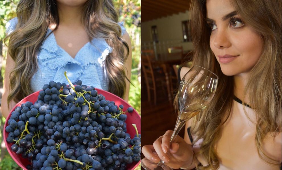 The WineTeller: chi è Anais Cancino, sommelier influencer del vino con quasi 200 mila di follower sul suo profilo Instagram
