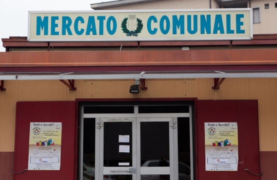 Galleria fotografica



