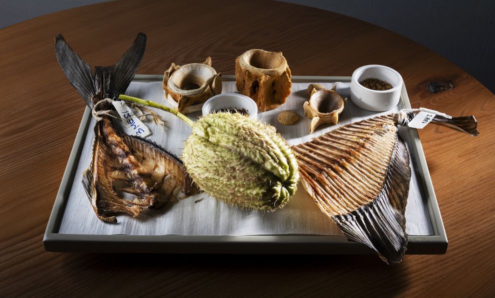 Le spine come linguaggio: la visione di Moreno Cedroni tra tecnica e pensiero