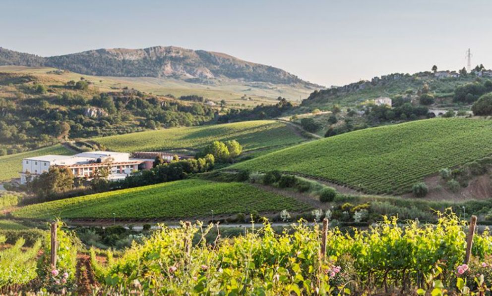 Arte, vino e territorio: Baglio di Pianetto si racconta con tante novità