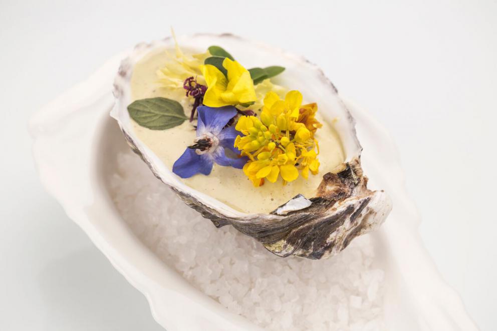 PhotogalleryRay wings &ldquo;alla stimpirata&rdquo;
Crispy Gelato Sandwich with Sicilian truffle from Palazzolo Acreide
Blue tailed fish lasagne with wild fennel and saffron 
Alleva Bio Beef in falsomagro
